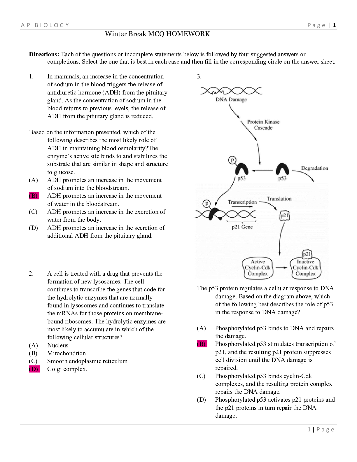 Preview of AP BIO_ AP Biology_Winter Break MCQ HOMEWORK_ Assignment. Contains 200 of the Most Commonl