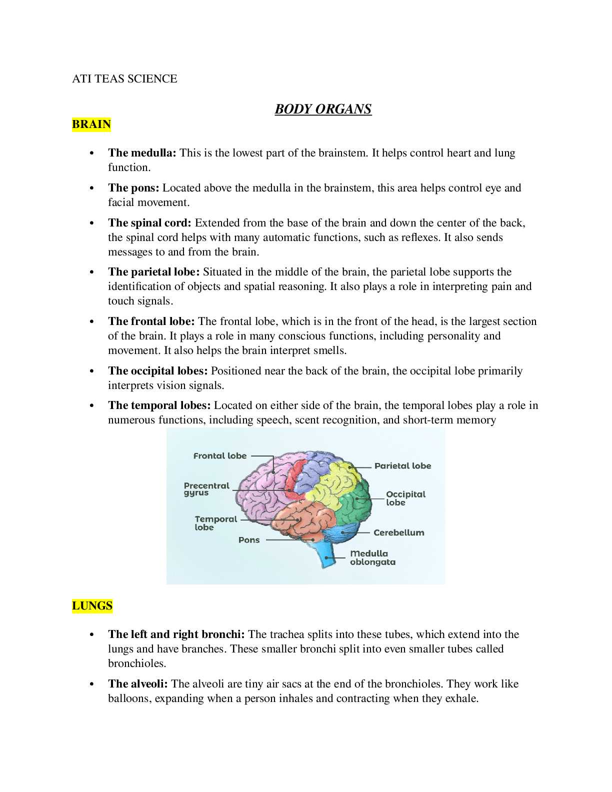 Preview image for ATI TEAS SCIENCE(BRAIN ORGANS)2022  (GRADED A)