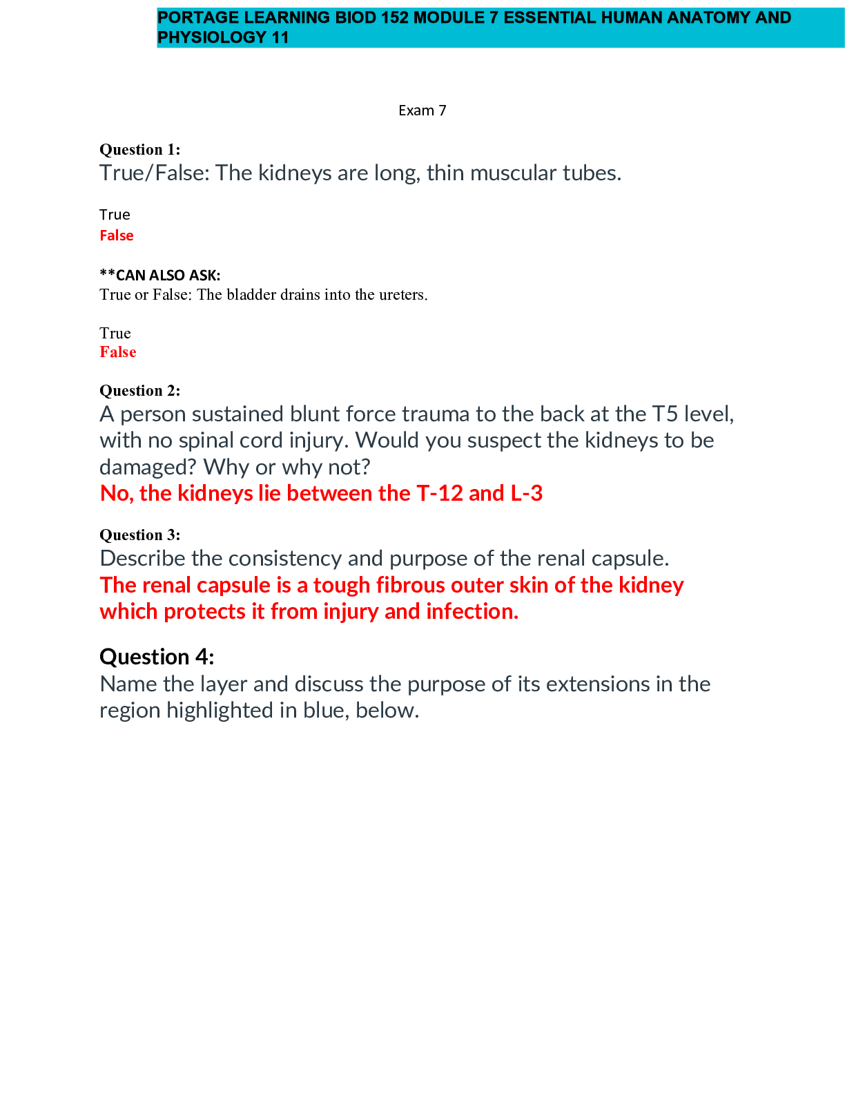 Preview of BIO 152 Module 7 Exam Essential Human Anatomy and Physiology II |31 Q & As (with Alternati