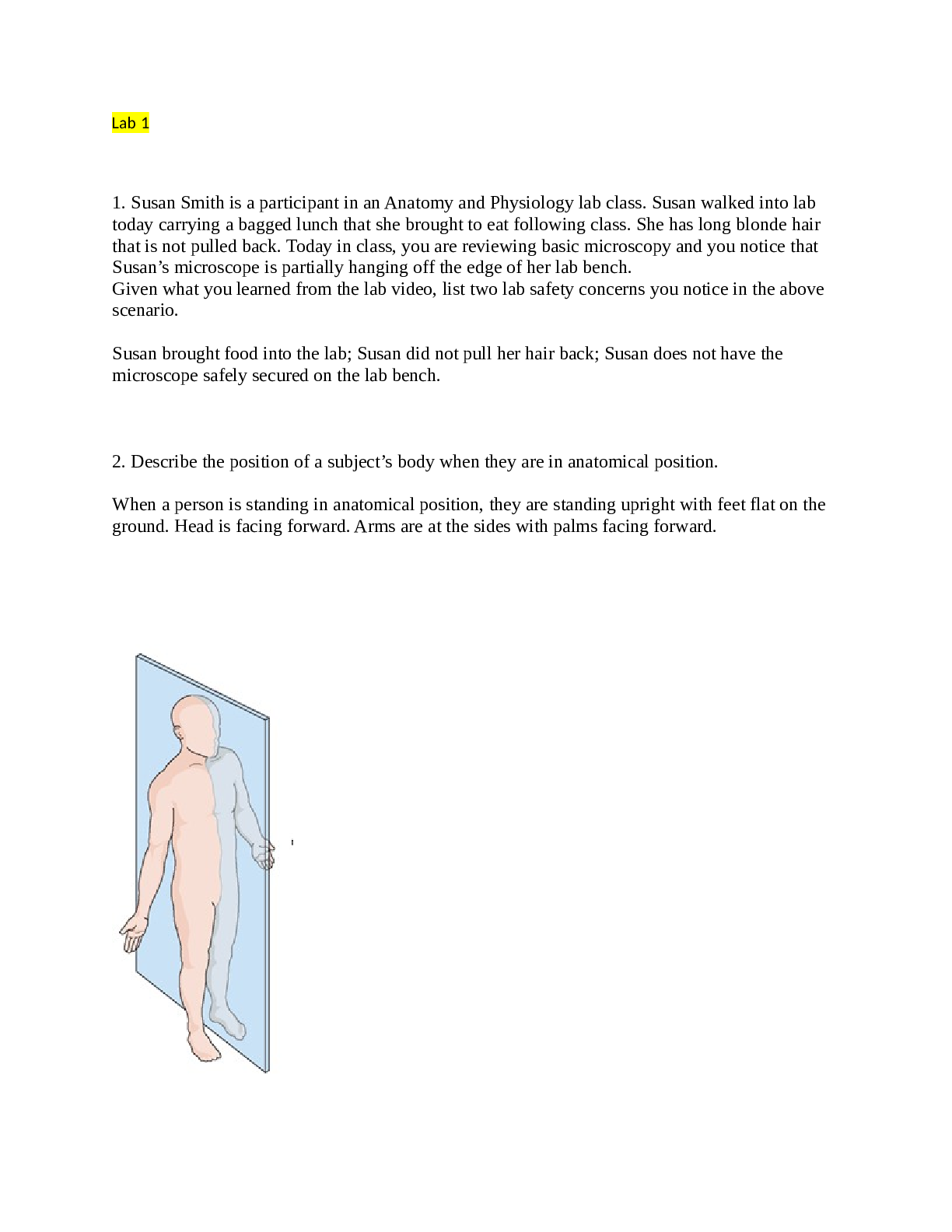 Preview image for BIOD 151 All Lab exams, well illustrated Updated 2022 {Graded A}