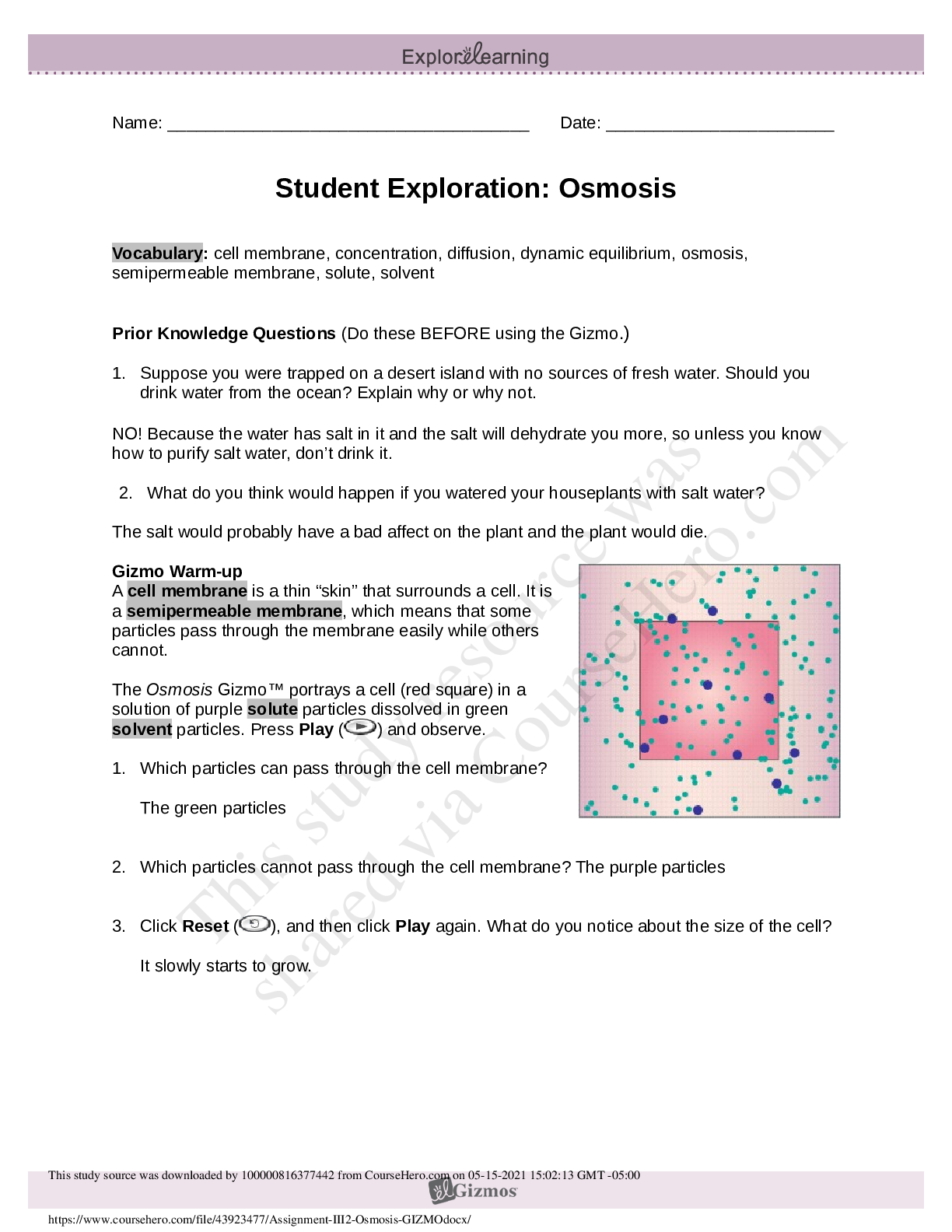 Preview image for Assignment III.2 Osmosis GIZMO
