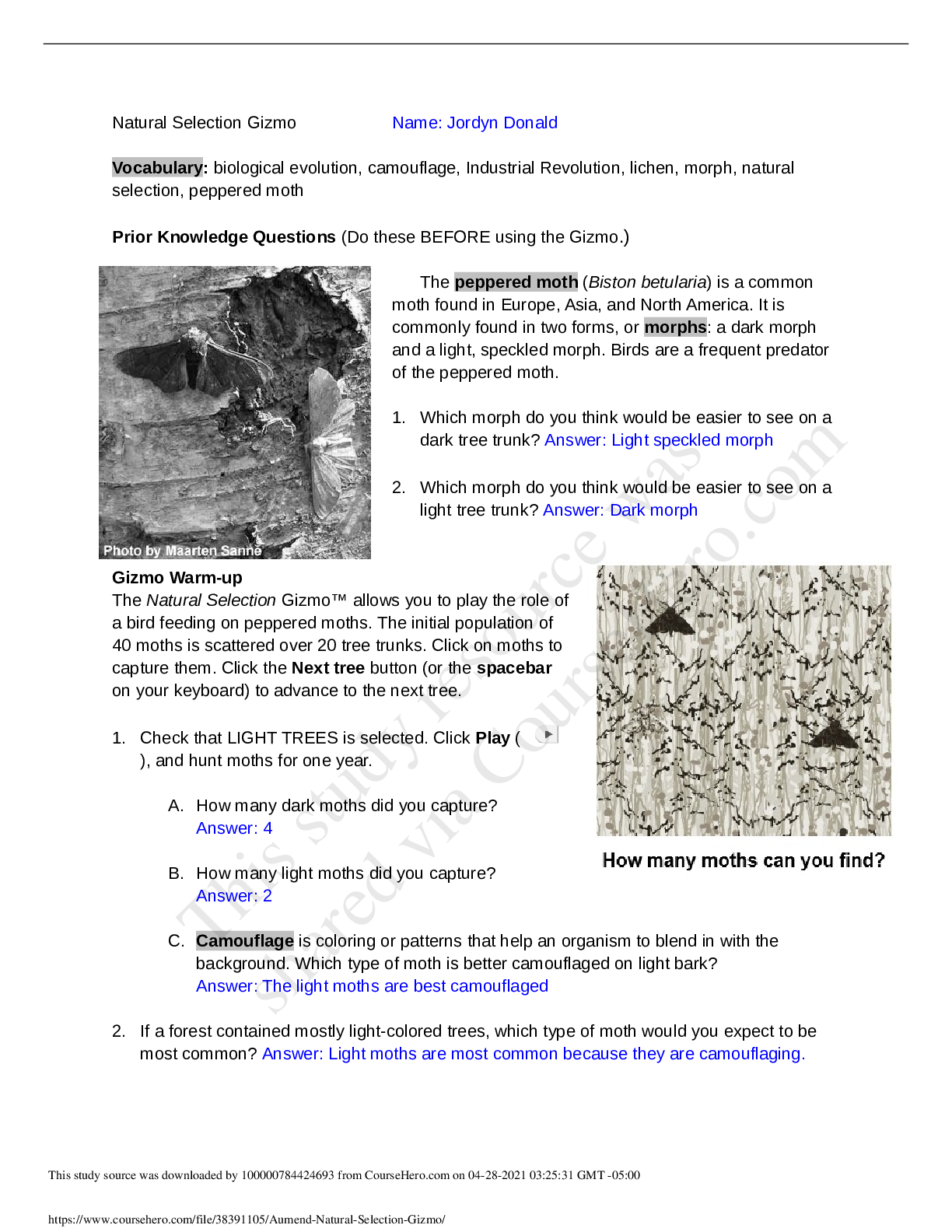 Preview of Gizmo Natural Selection -All Answers Correct REVISED BY EXPERTS 2021