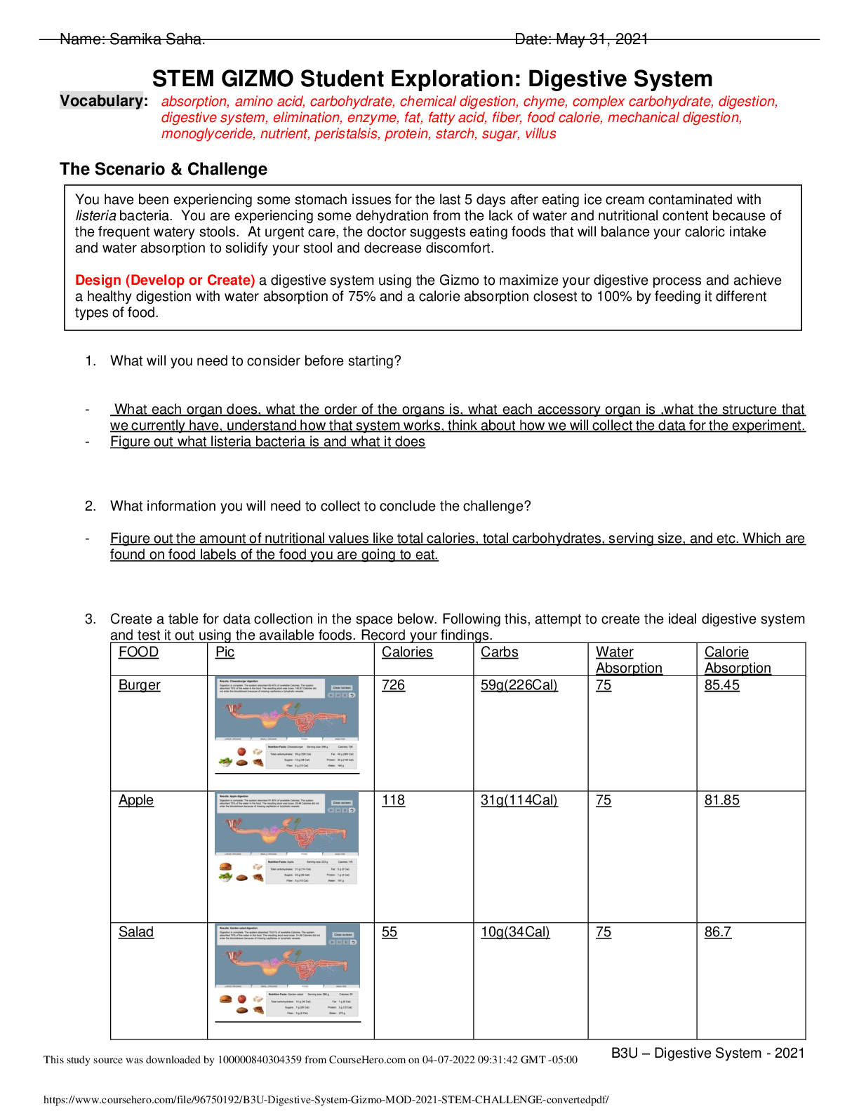 Preview image for STEM GIZMO Student Exploration: Digestive System