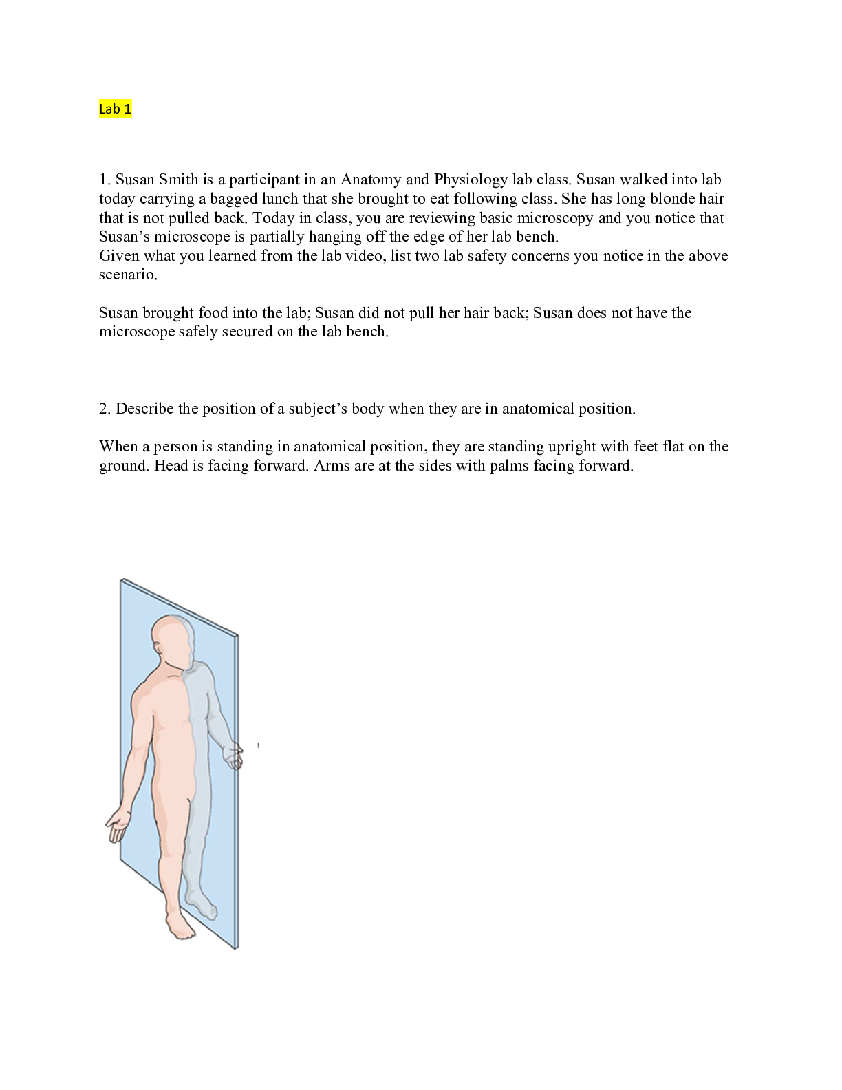 Preview image for BIOD 151 All Lab Exams | Modules 1-8 with Correct Answers Indicated Guaranteed A+
