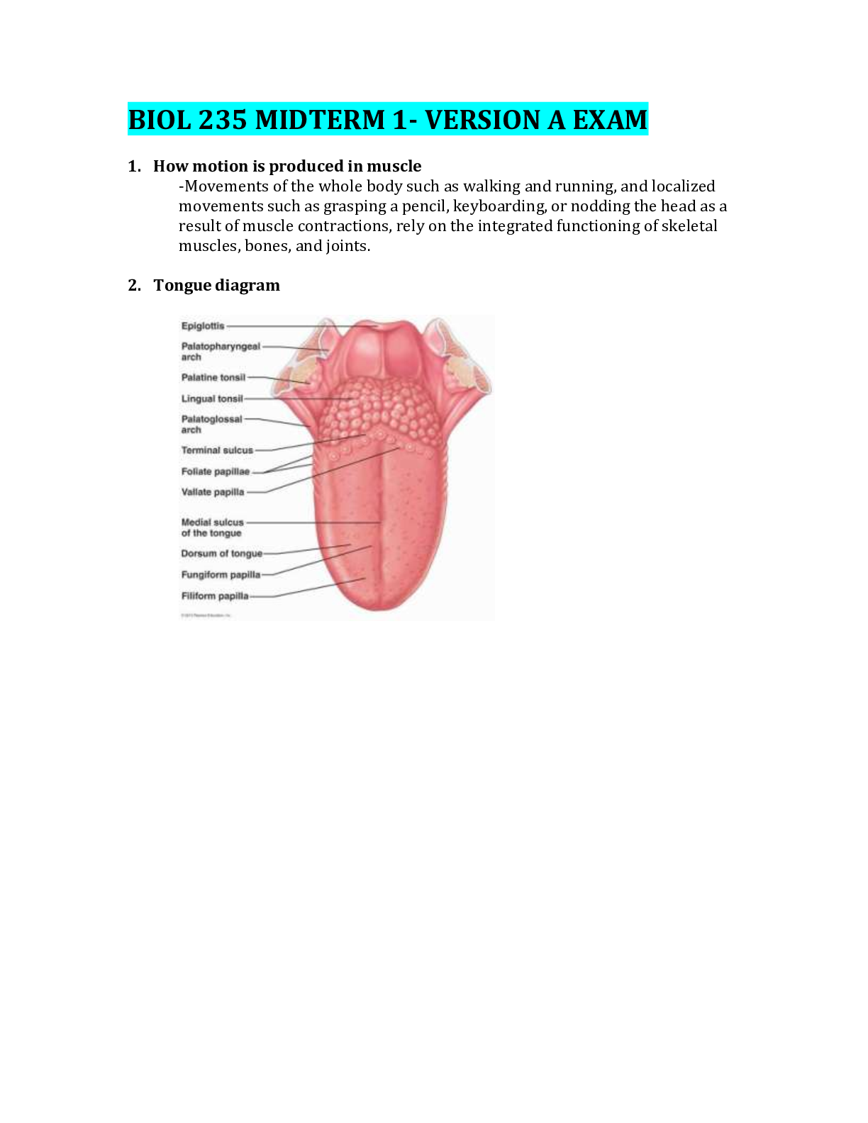 Preview image for ATHABASCA UNIVERSITY  BIOL 235 MIDTERM 1- VERSION A EXAM