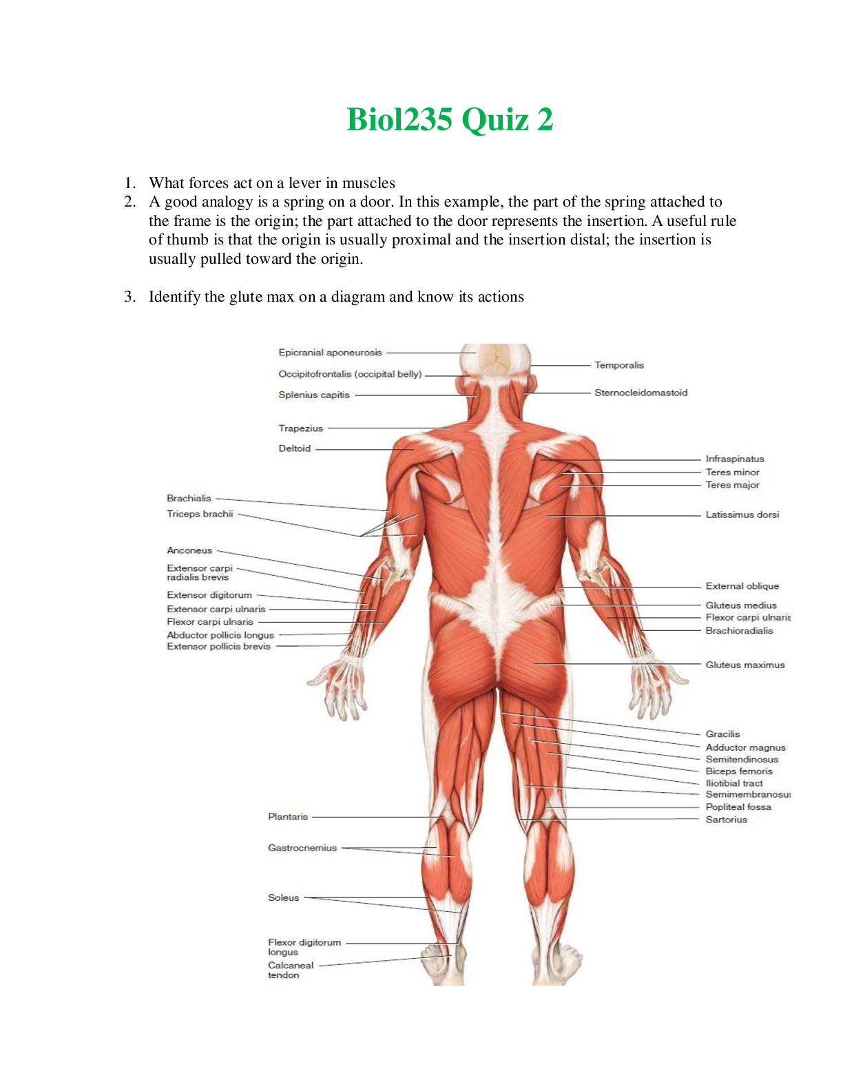 Preview of Biol 235 Quiz 2 (RATED A) Questions and Answer solutions | 100% out of 100% | Athabasca Un