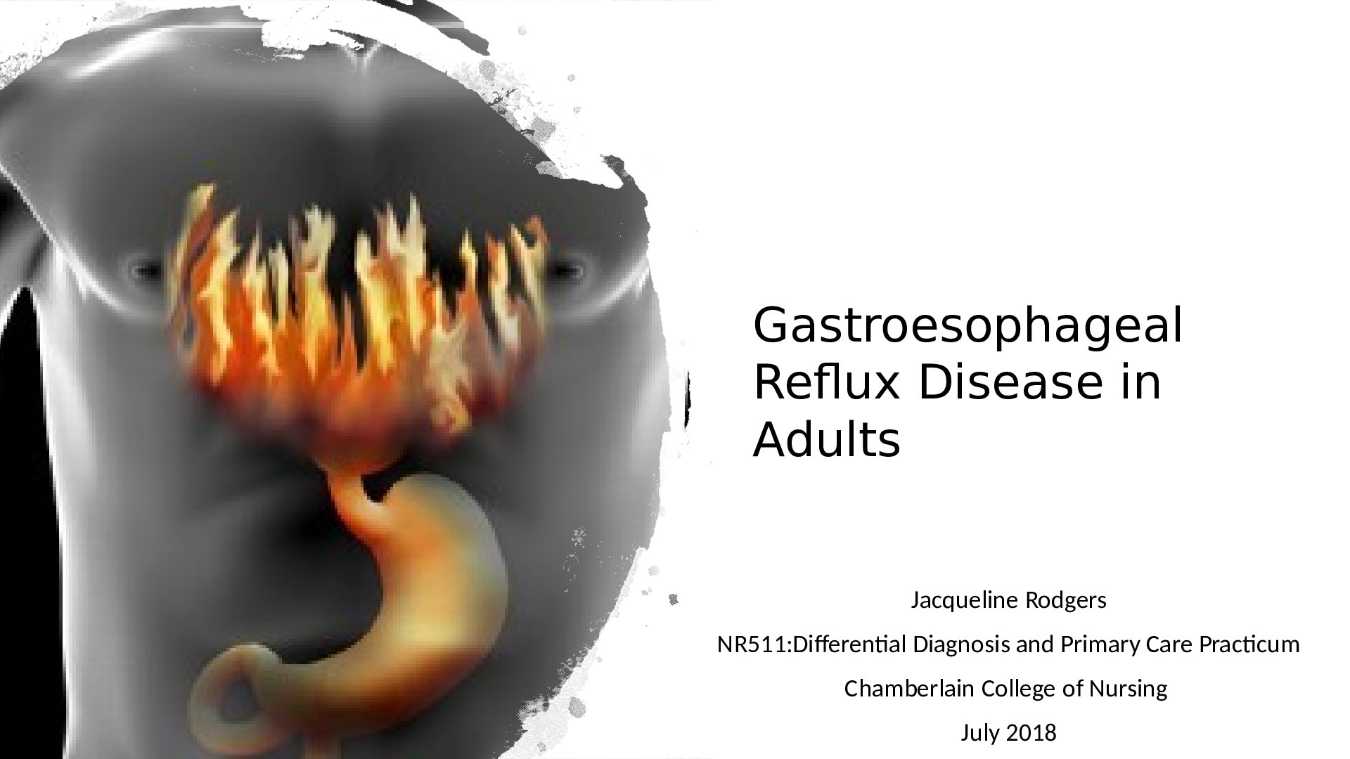 Preview image for NR511:Differential Diagnosis and Primary Care Practicum
