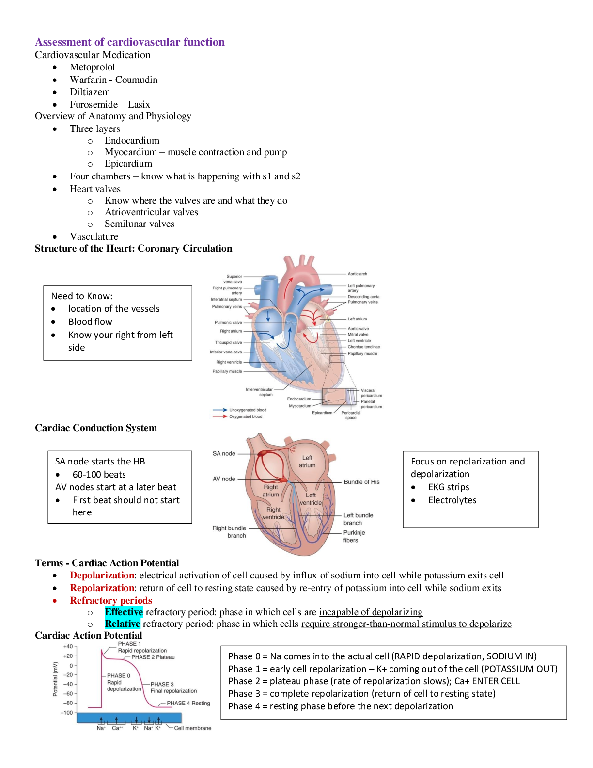 Preview of NUR 4120 Cardiovascular Exam 1.Assessment of cardiovascular function(2020/2021) Complete S