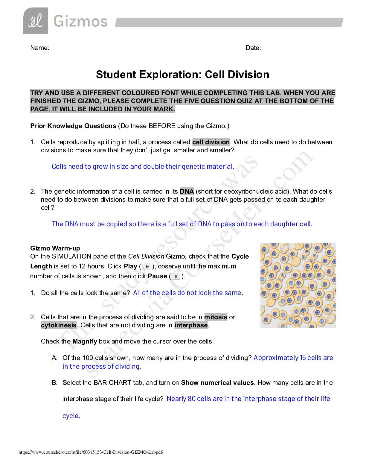 Preview of GIZMO_Student Exploration: Cell Division. Explore Division. BIO MISCCell Division GIZMO La