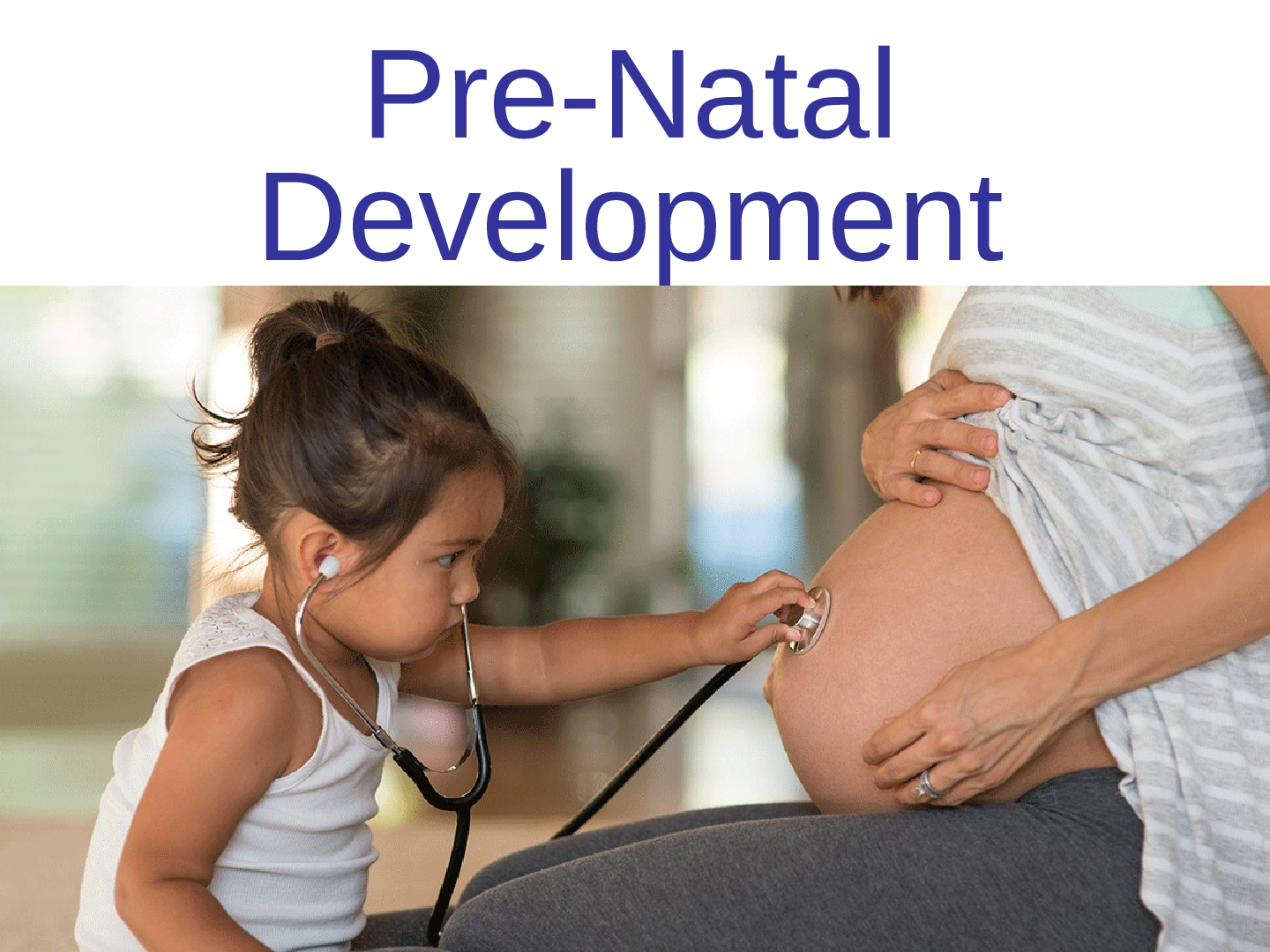 Preview image for NURS 3632  Ch_2_Pre-natal_development Study Guide