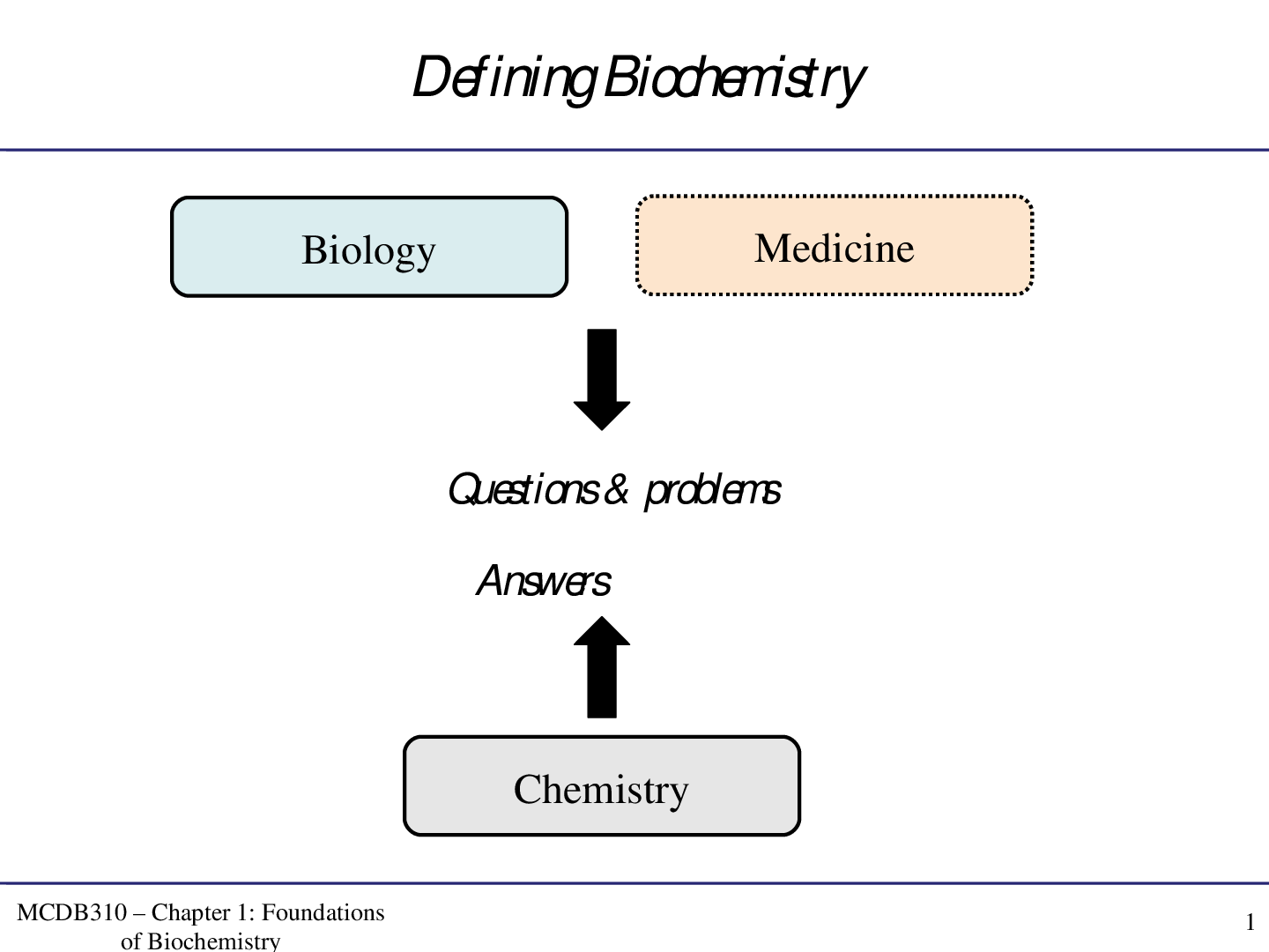 Preview of Biochemistry A+ Guide