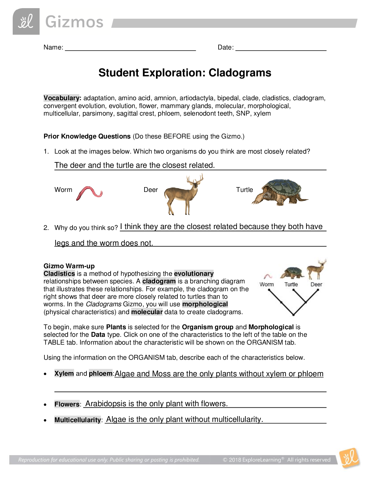 Preview of Cladograms BIO 101 GIZMO