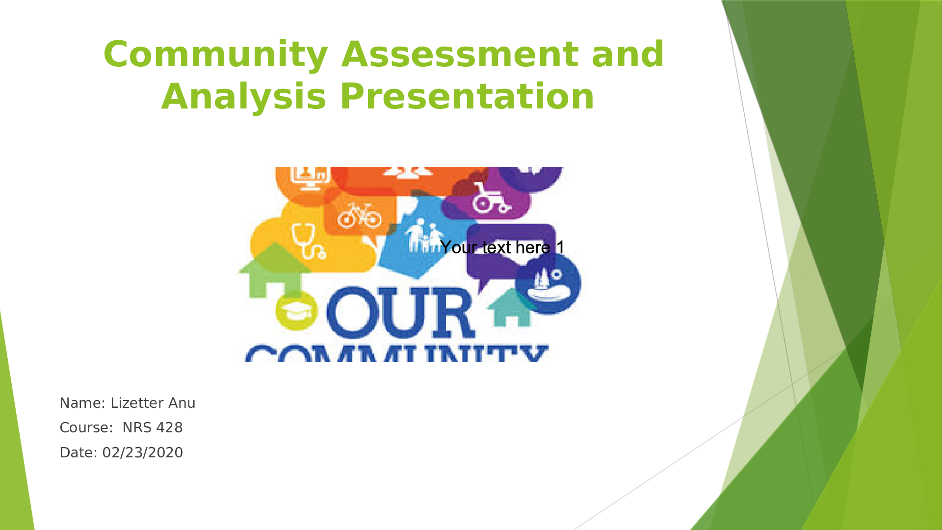 Preview image for NRS 428 VN Community Assessment and Analysis Presentation (Lizetter  100% WELL GRADED
