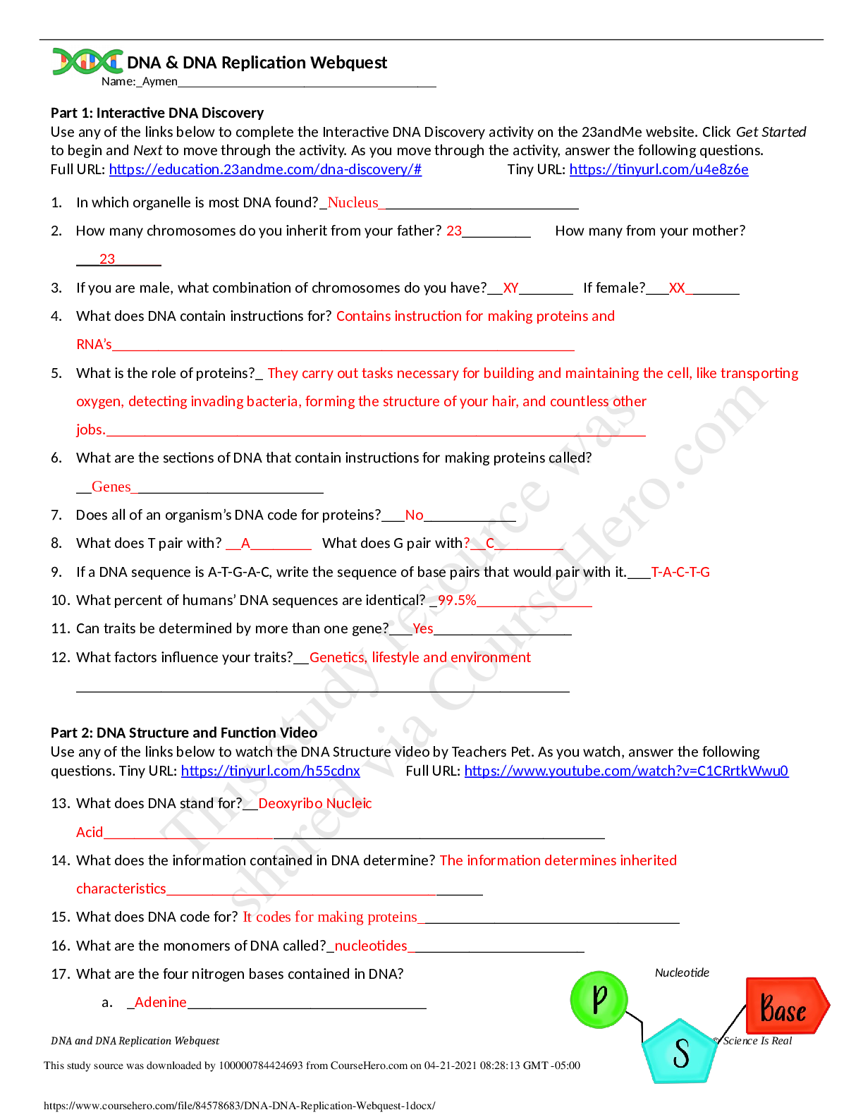 Preview of DNA Replication Webquest