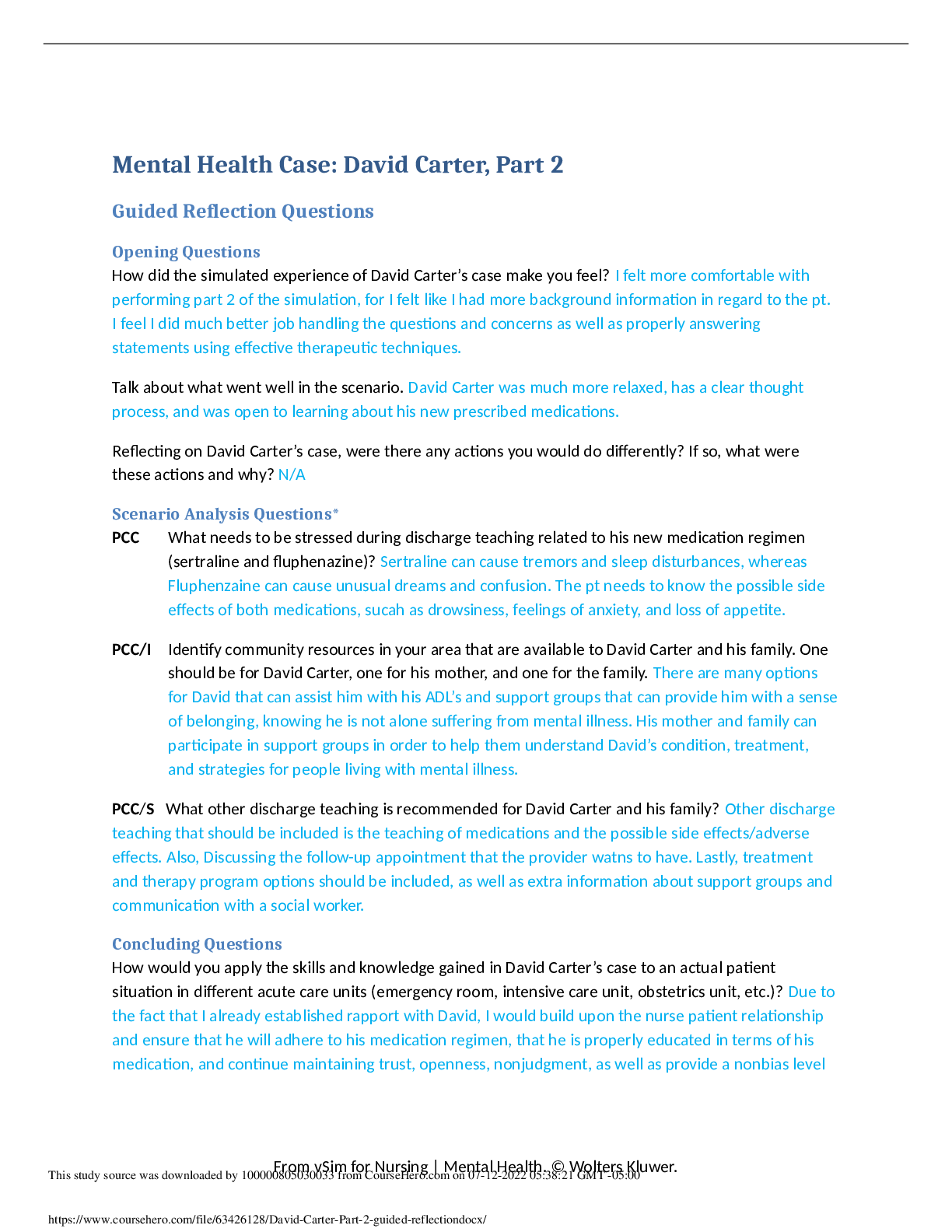 Preview image for David Carter VSIM Mental Health Case: Part 2 Guided Reflection Questions