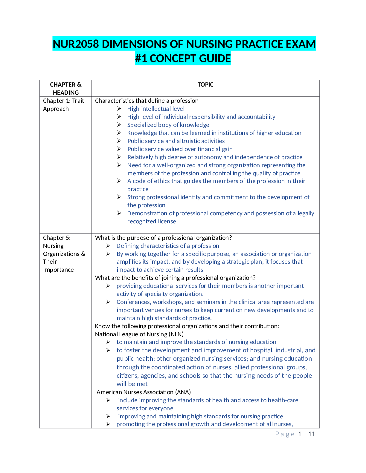 Preview image for NUR 2058 Dimensions Exam 1 Complete Study Guide| Rasmussen College