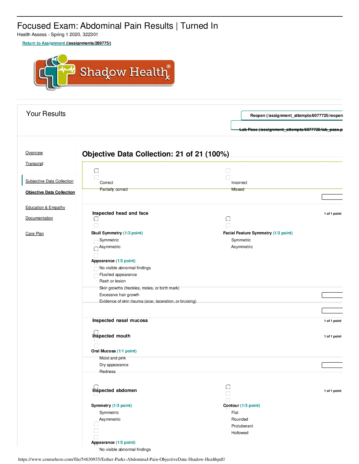 Preview image for _Abdominal Pain _ Objective.Data_ Shadow Health.