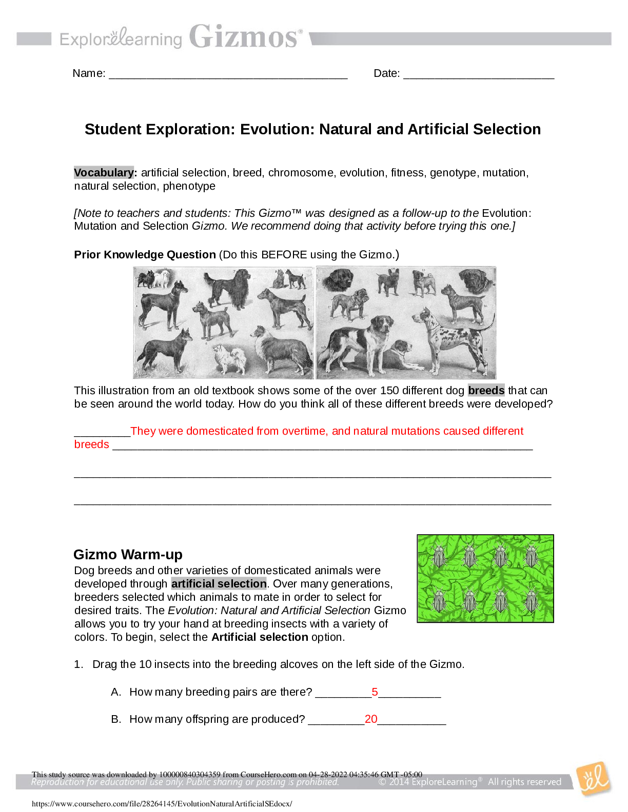 Preview image for Gizmos