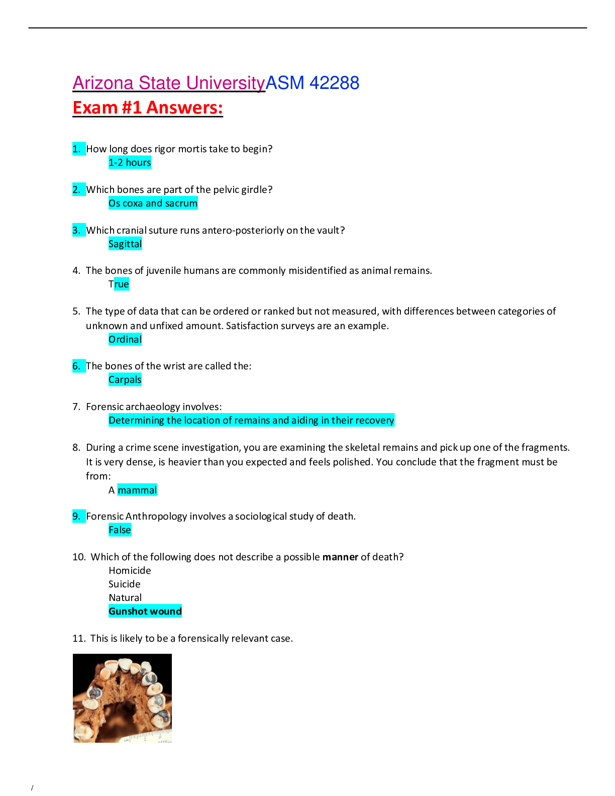 Preview of ASM 275 / ASM275 Exam #1 Answers Latest 2022 Already Passed