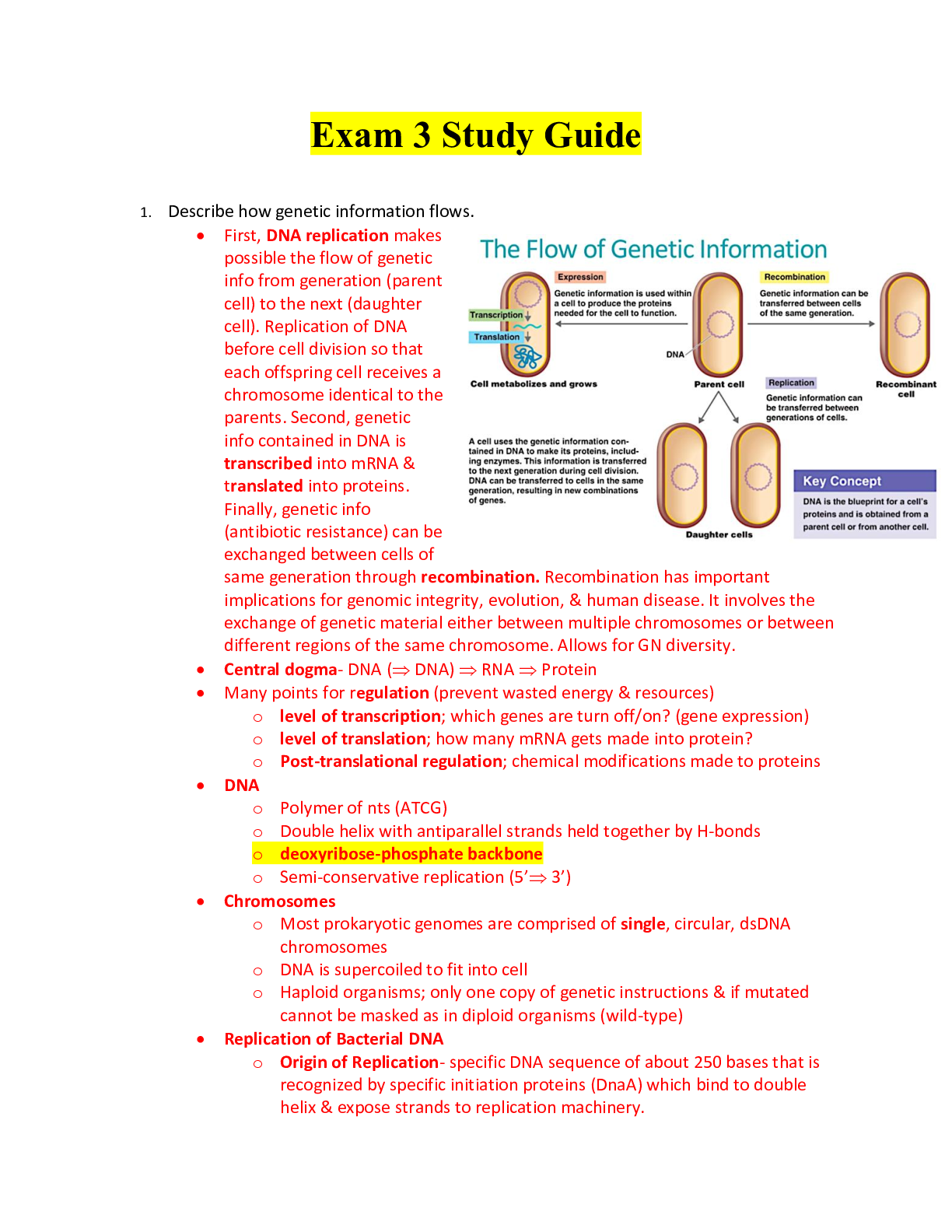 Preview image for MB 351 - Exam 3 study guide.