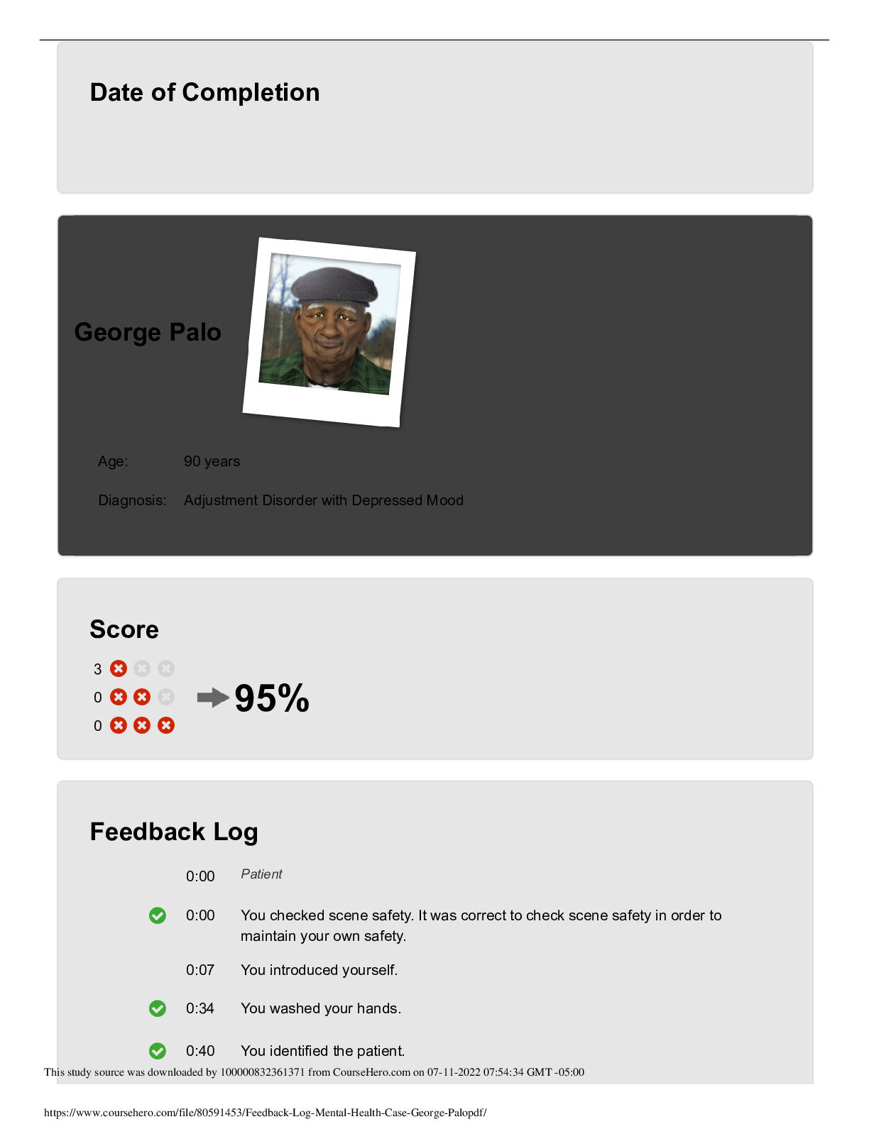 Preview image for NURS 202 Mental Health VSIM George Palo Feedback Log Already Rated A