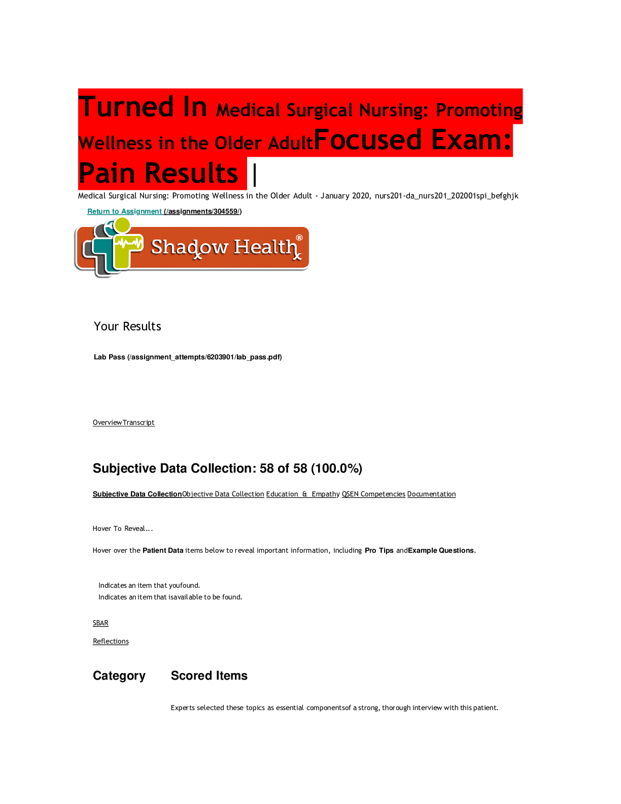 Preview image for Focused Exam: Pain | Completed | Shadow Health.pdf