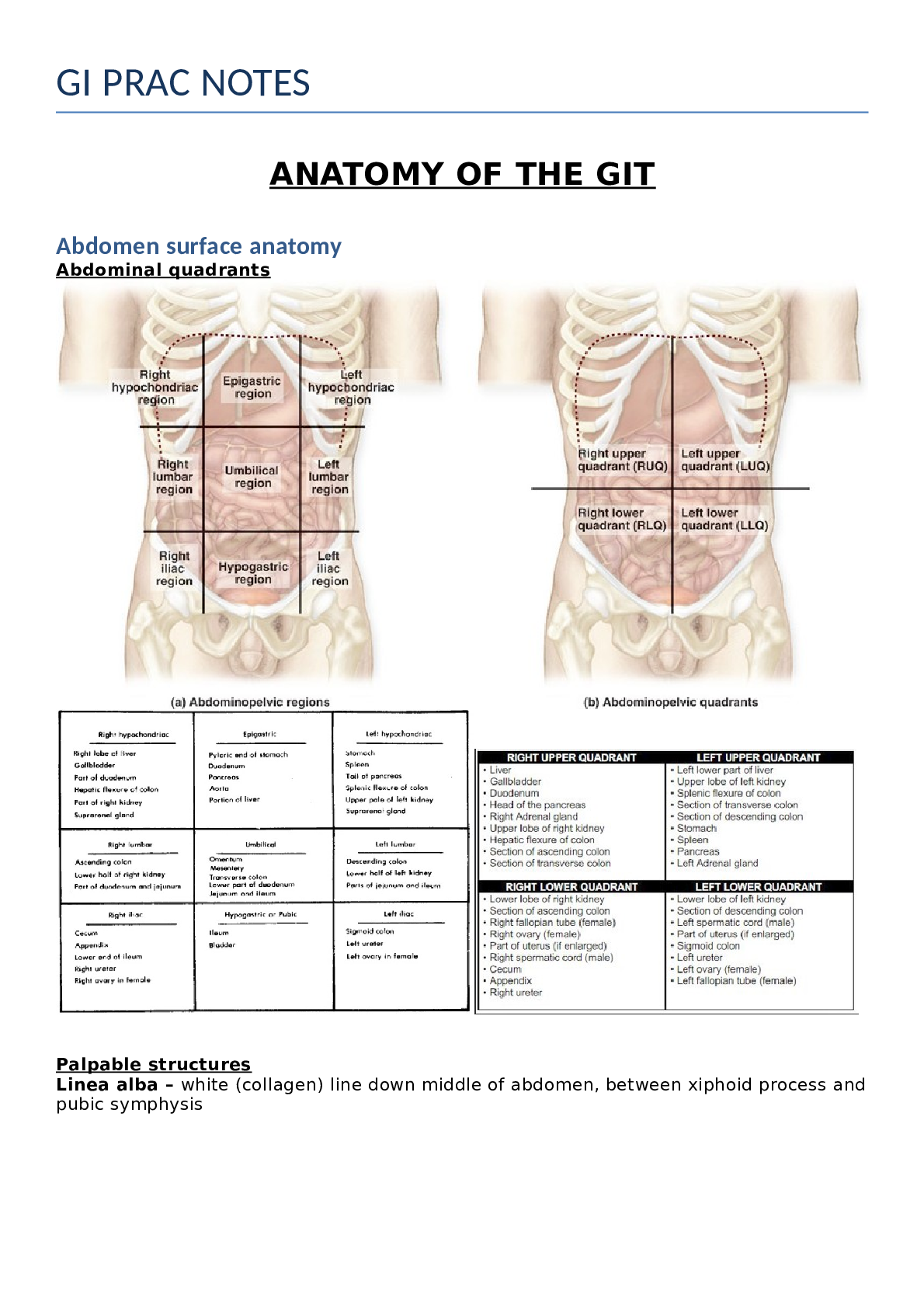 Preview image for Anatomy of the GIT Notes Summary - A Comprehensive Summary