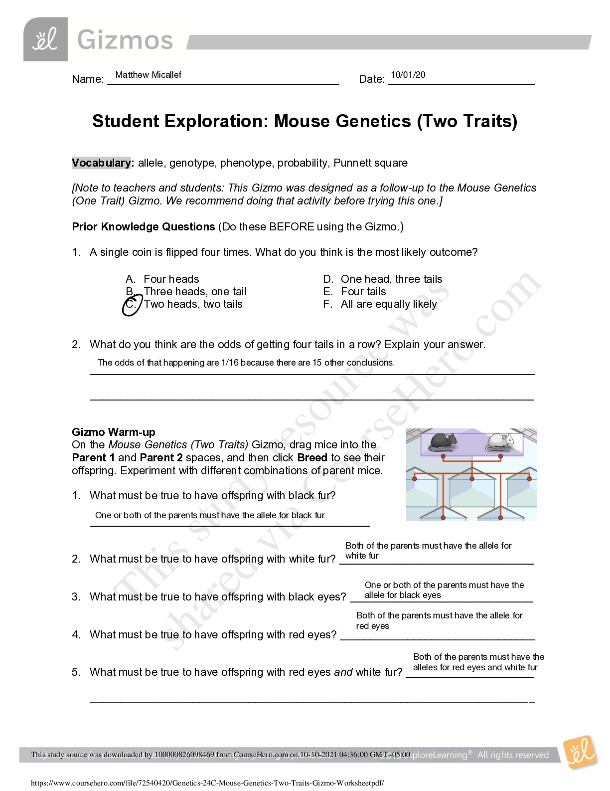 Preview image for Student Exploration: Mouse Genetics WITH QUESTIONS AND ANSWERS 100% GUARENTEED SCORE