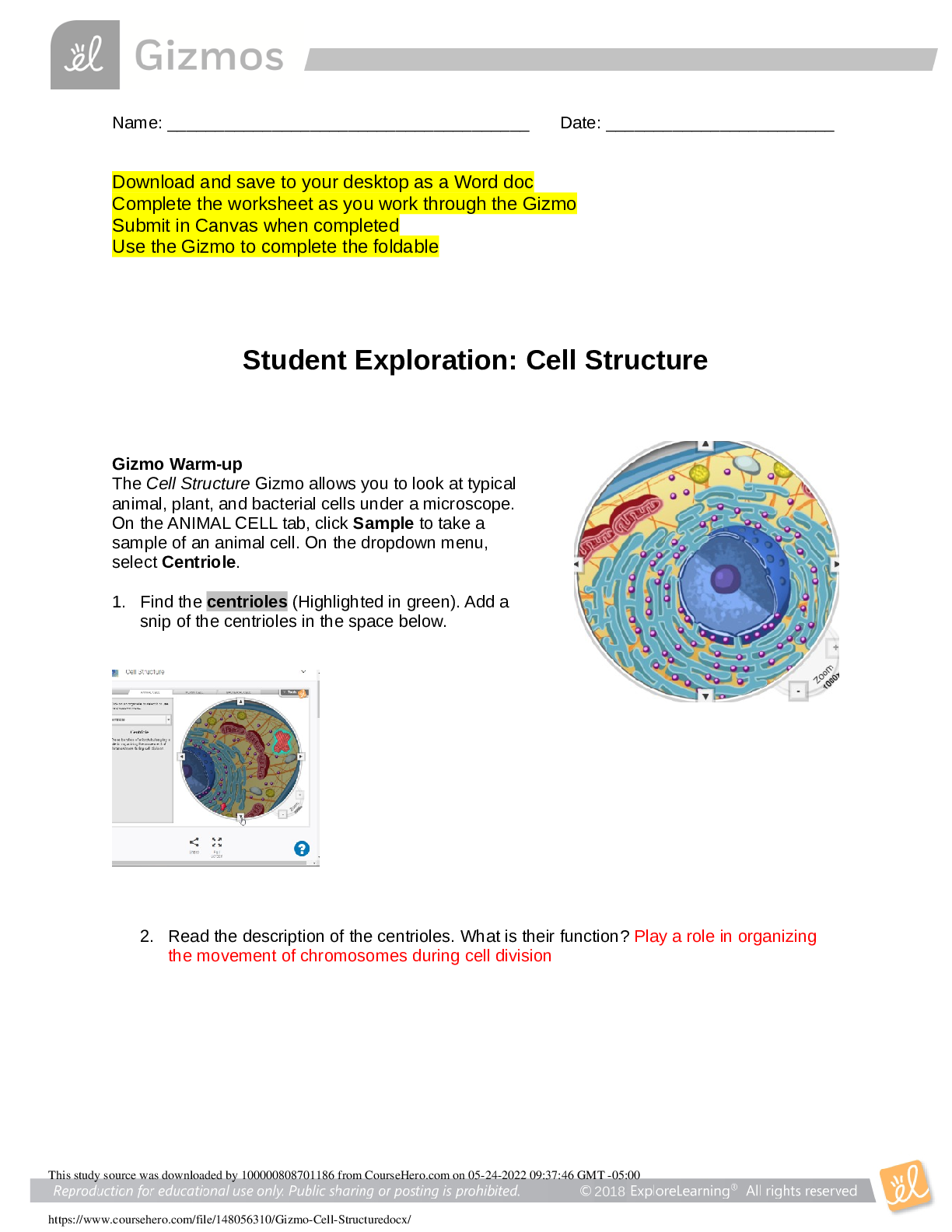 Preview image for GIZMO CELL STRUCTURE 2022/2023 [TOP RATED] [GRADED A+]