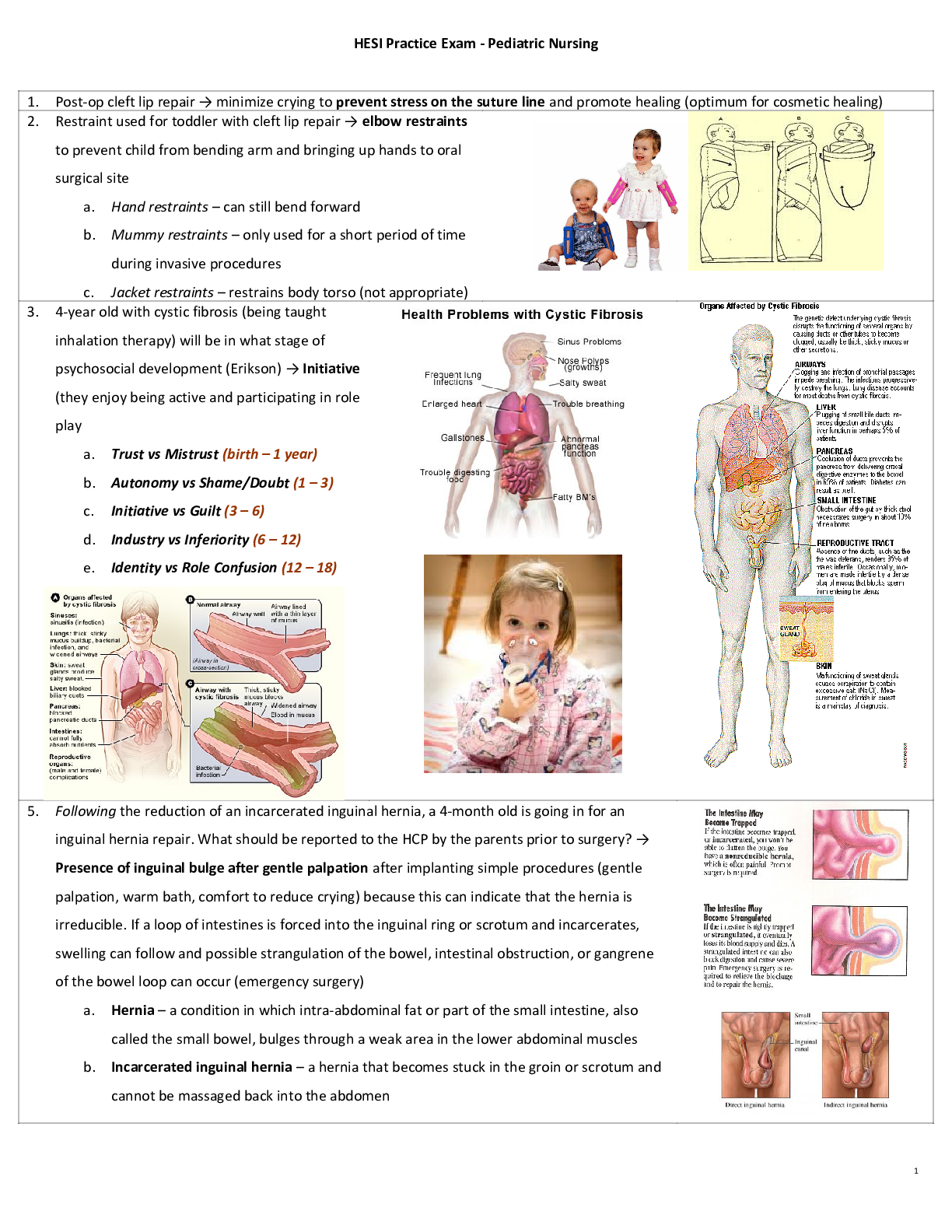 Preview of HESI Practice Exam Pediatric Nursing_2020 | HESI Pediatric Nursing Exam