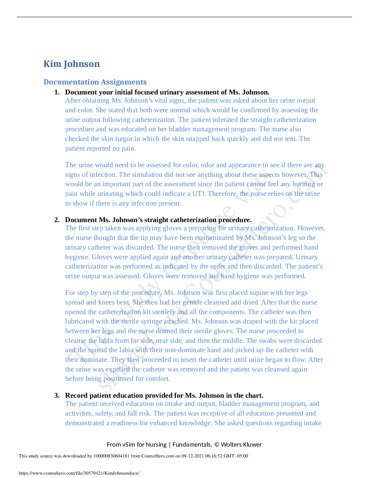 Preview image for Kim Johnson Documentation Assignments