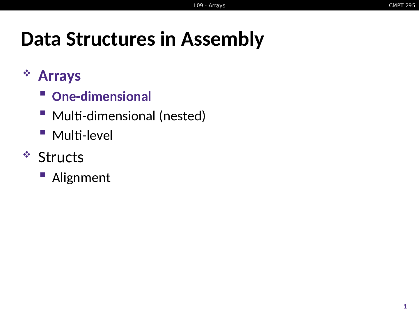 Preview image for British Columbia Institute of Technology (C++ 295) CMPT 295L09 - Arrays Data Structures in Assembly