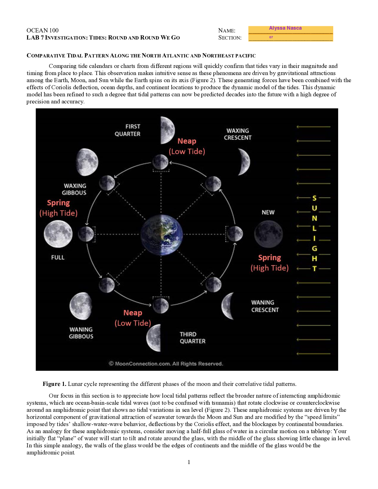 Preview of San Diego State UniversityOCEAN 100LAB_7_OceanTides_Investigation_GRADED A-DOWNLOAD TO SCO
