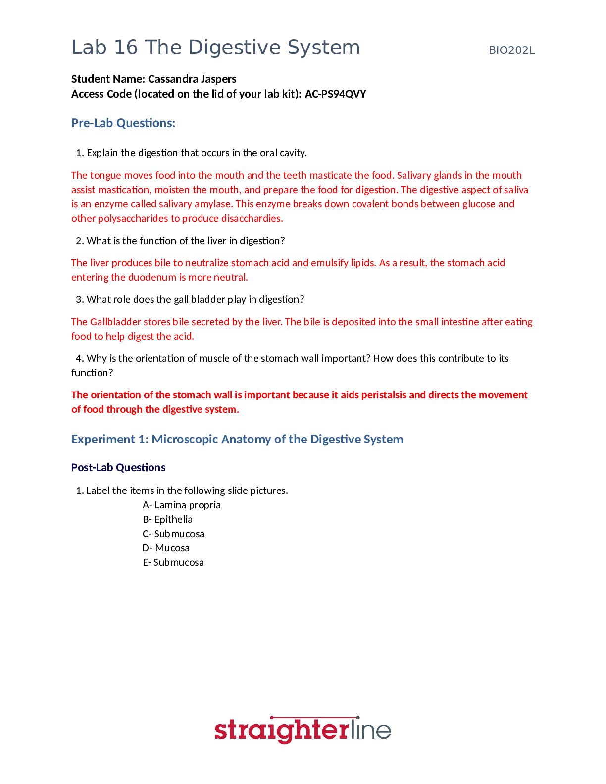 Preview of BIO 202L Lab 16 Worksheet- The Digestive System