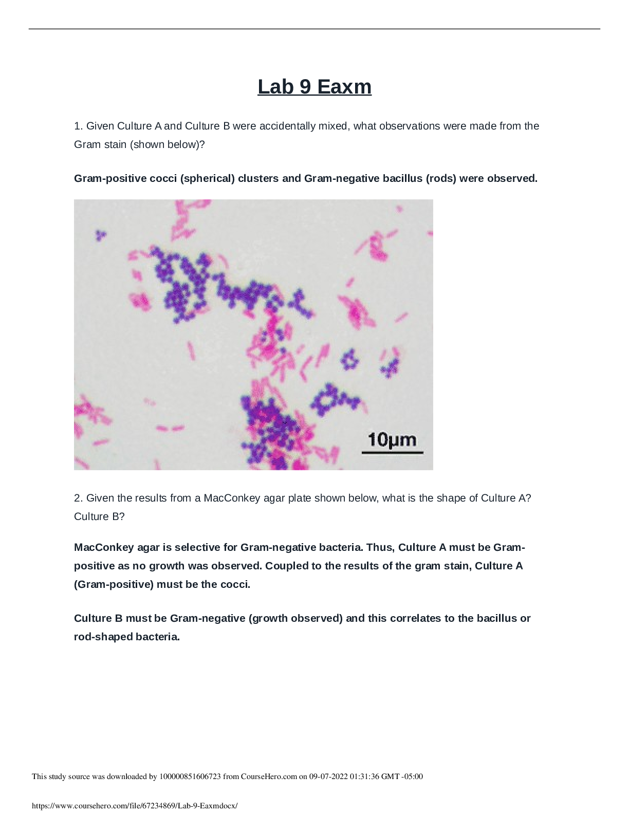 Preview image for Portage Microbiology Lab Exam 9 Questions And Answers 2022( With Complete Solution Rated A)