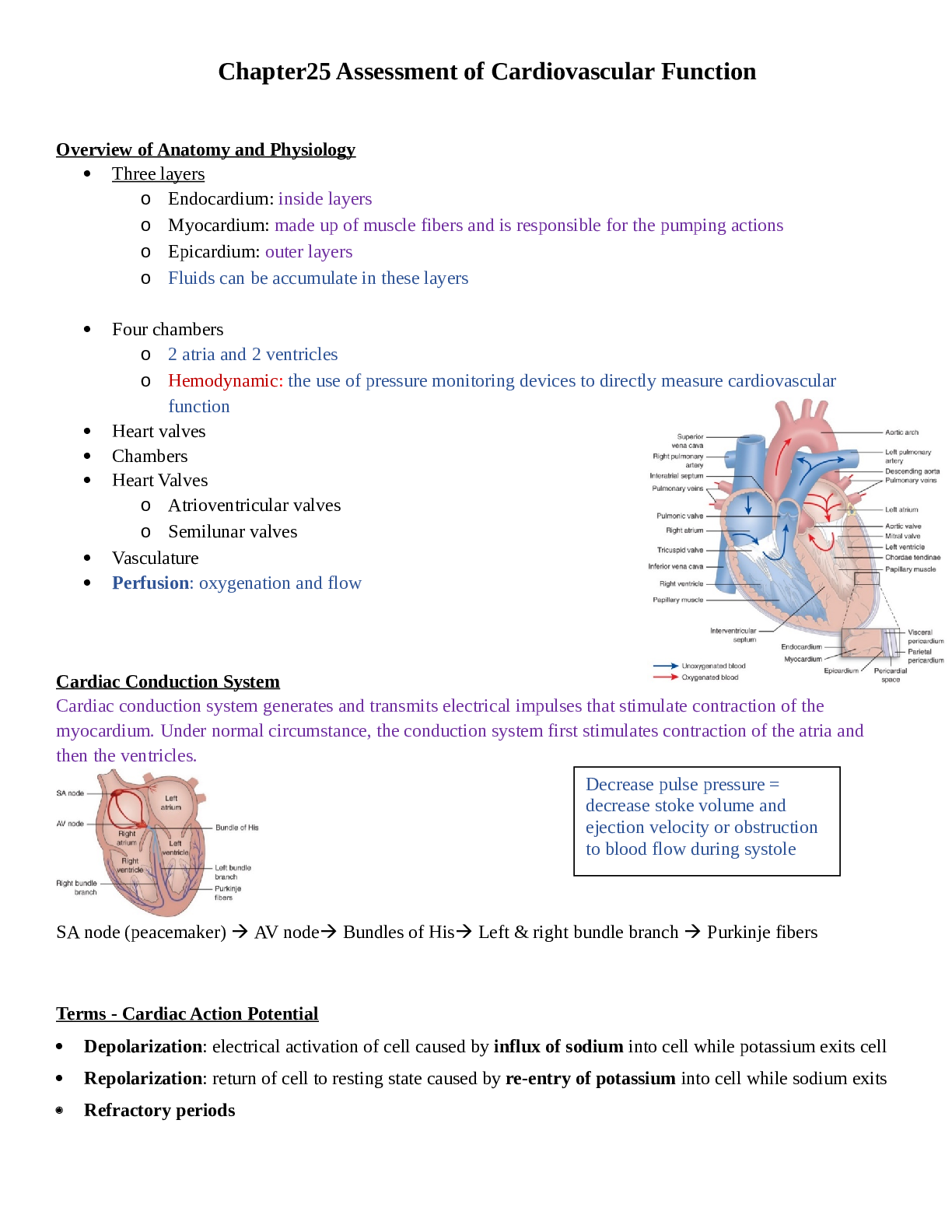 Preview image for MED SURG_EXAM ONE STUDY GUIDE |ANATOMY 2086_MED SURG_EXAM ONE STUDY GUIDE