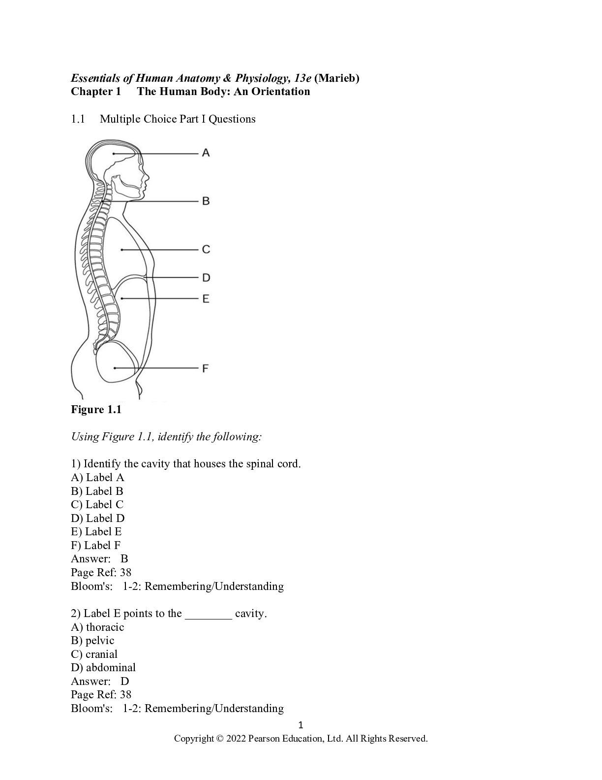 Preview image for TEST BANK FOR ESSENTIALS OF HUMAN ANATOMY PHYSIOLOGY 10TH EDITION ELAINE MARIEB