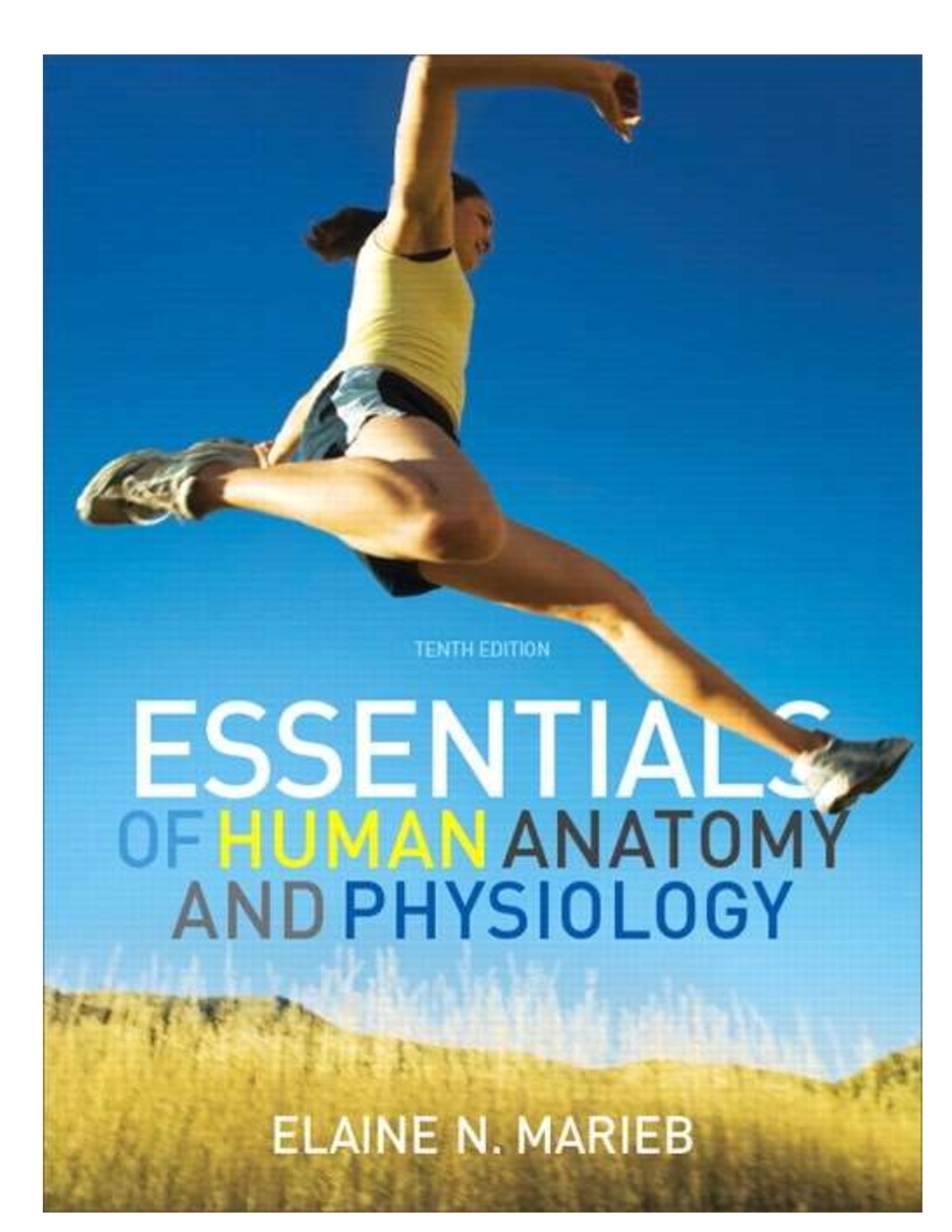 Preview of Test Bank for: Essentials of Human Anatomy Physiology 10E by Elaine N. Marieb All Chapters