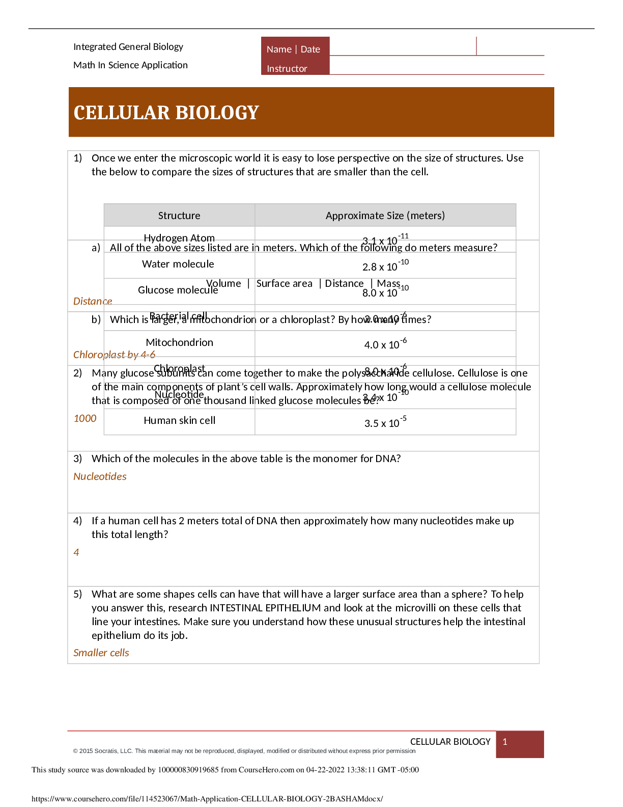 Preview of Cincinnati State Technical and Community CollegeBIO 100 Math Application CELLULAR BIOLOGY