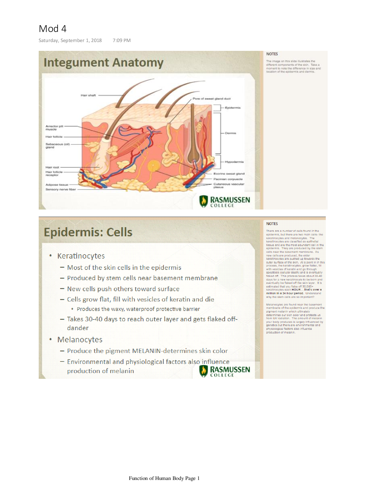 Preview image for Mod 4 Notes.pdf