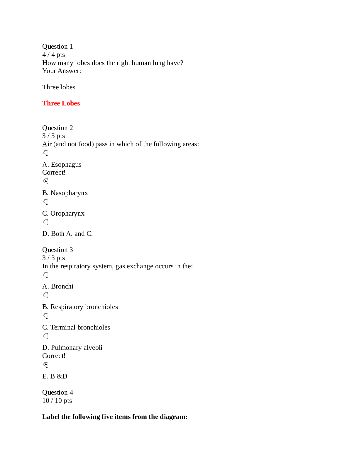 Preview image for A&P 1 101 Module 2 exam 2 - Portage Learning
