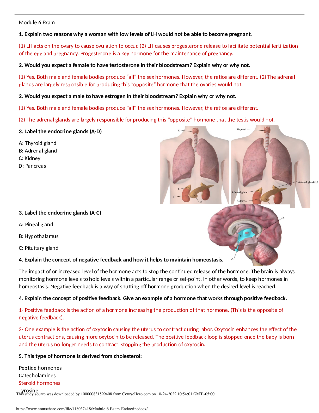 Preview image for BIOD 151 / BIOD151 Module 6 Exam Questions
