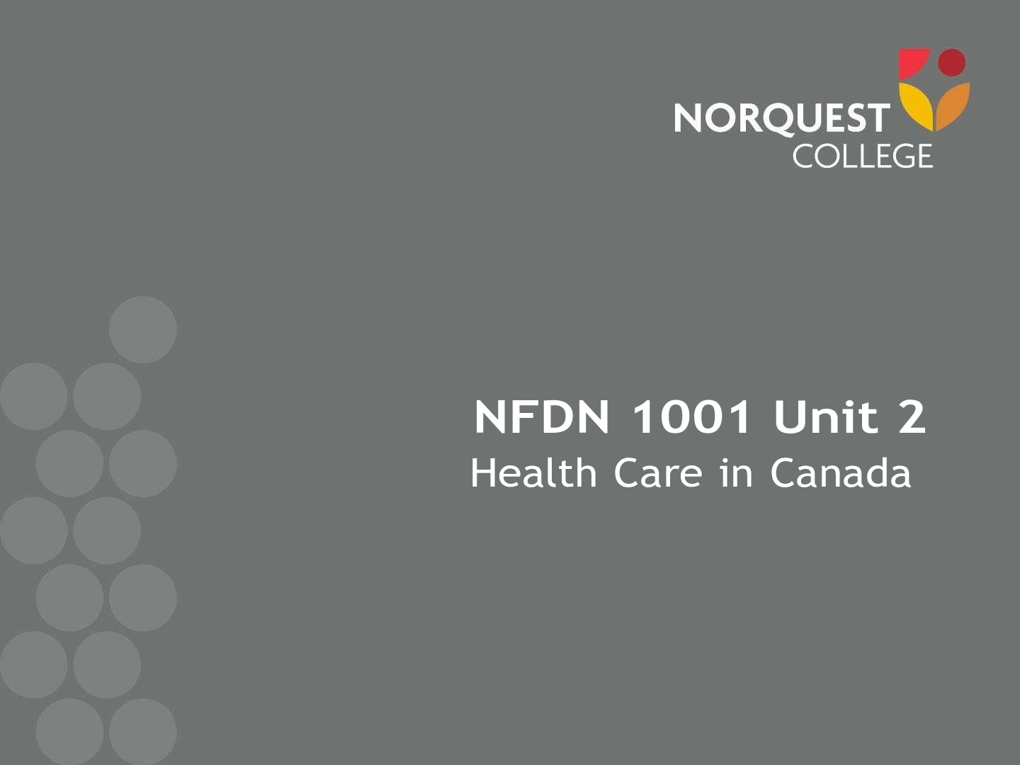 Preview image for NFDN 1001 Unit 2 Health Care in Canada