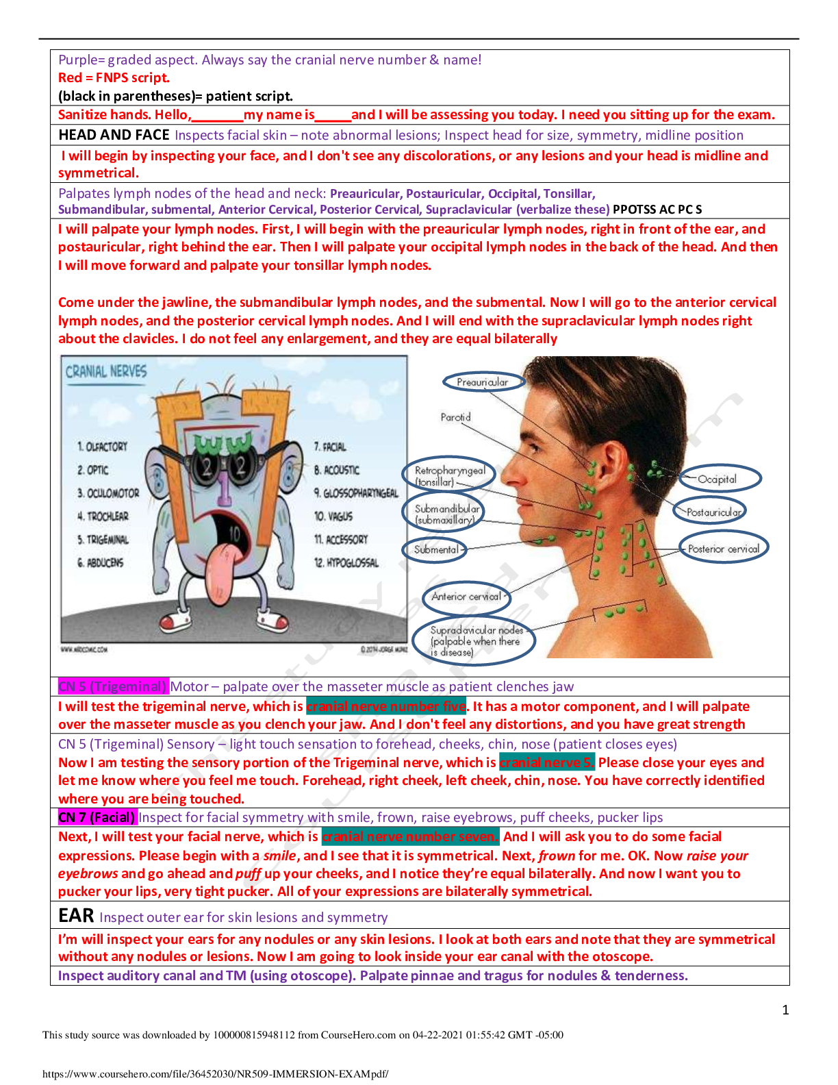 Preview image for NR509 IMMERSION EXAM