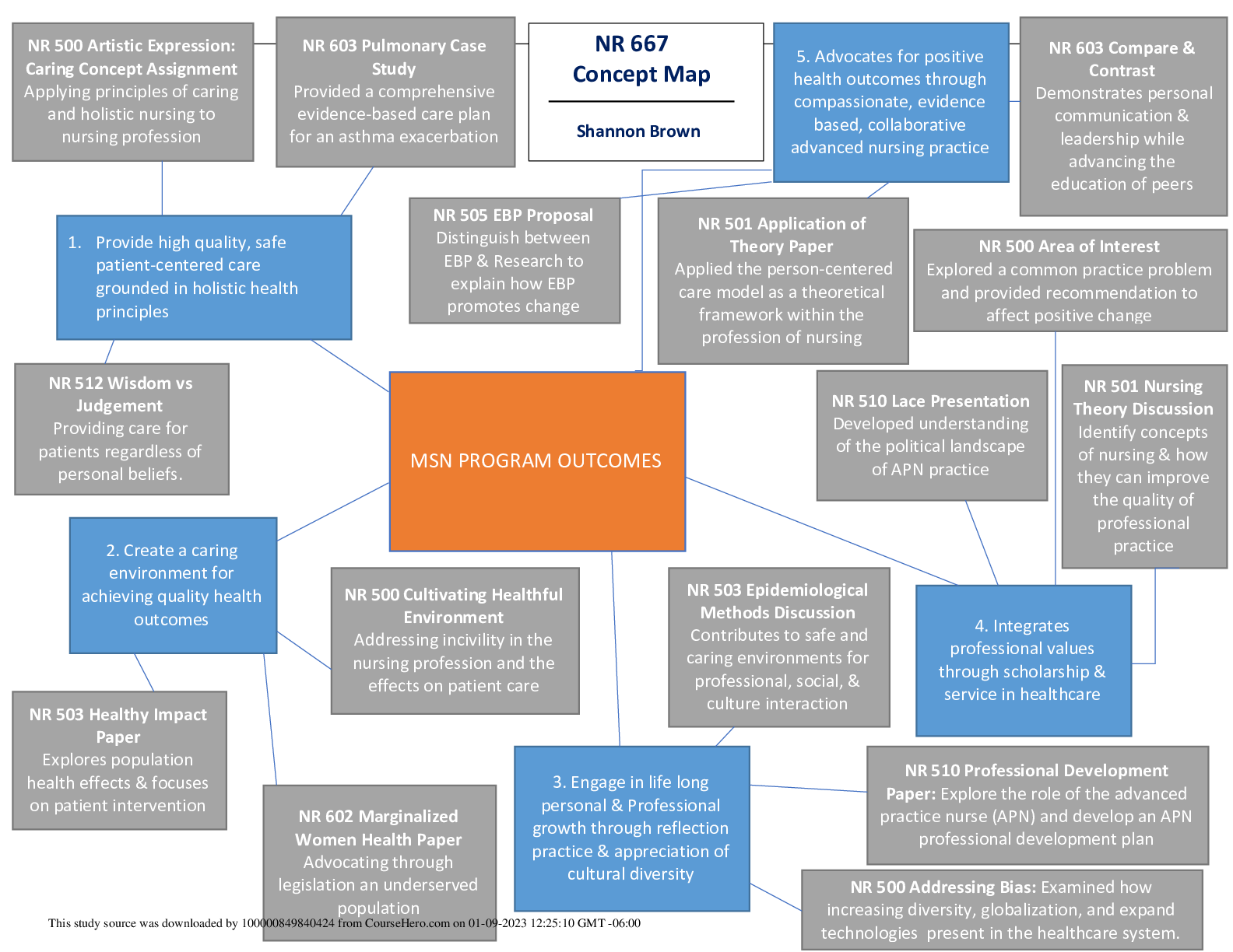 Preview image for NR 667 Concept Map- Chamberlain College of Nursing
