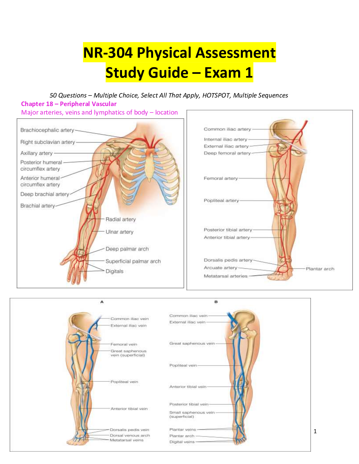 Preview of NR 304 Exam 1 Study Guide / NR304 Exam 1 Study Guide (Latest,2020/2021): Chamberlain Colle