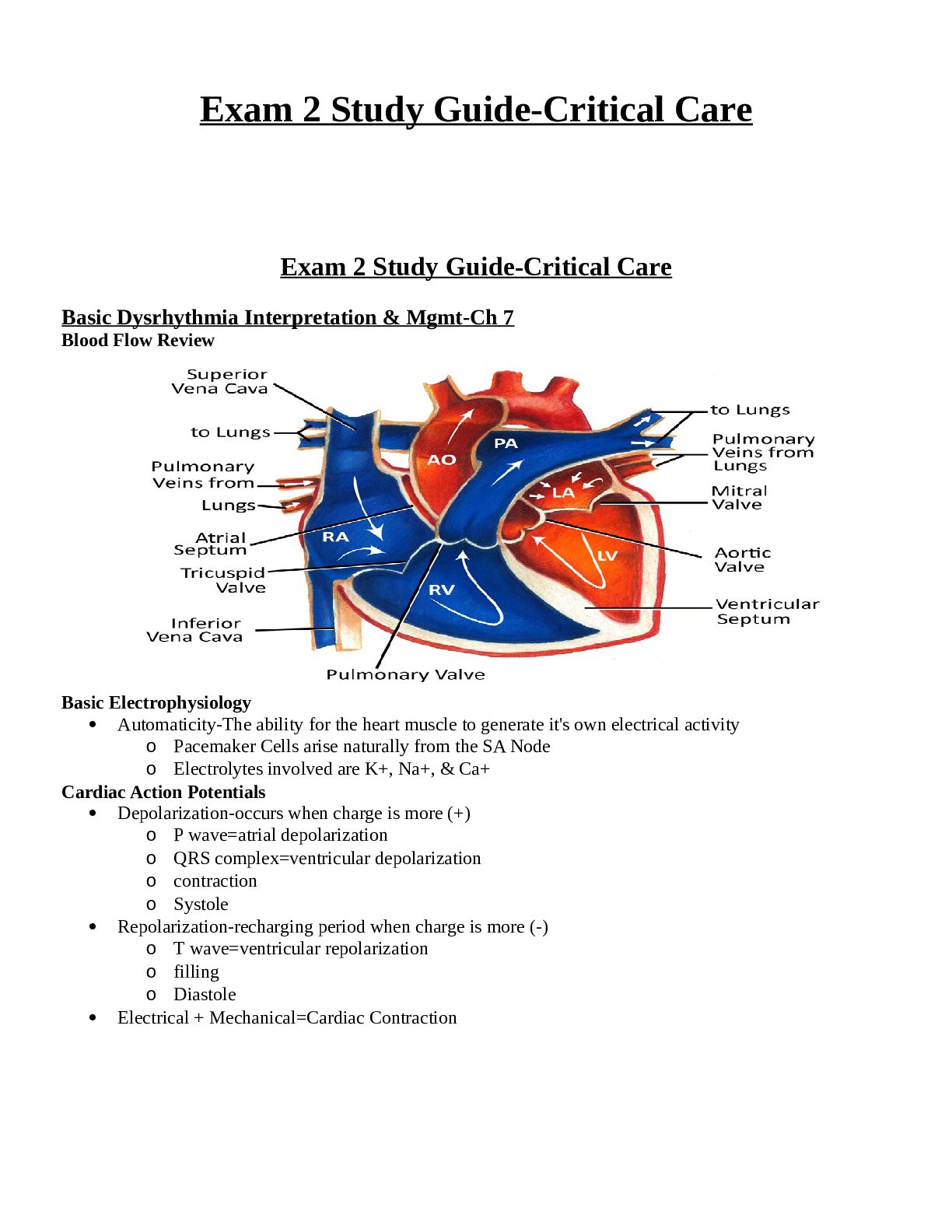 Preview image for NR 340-Exam 2 Study Guide-Critical Care
