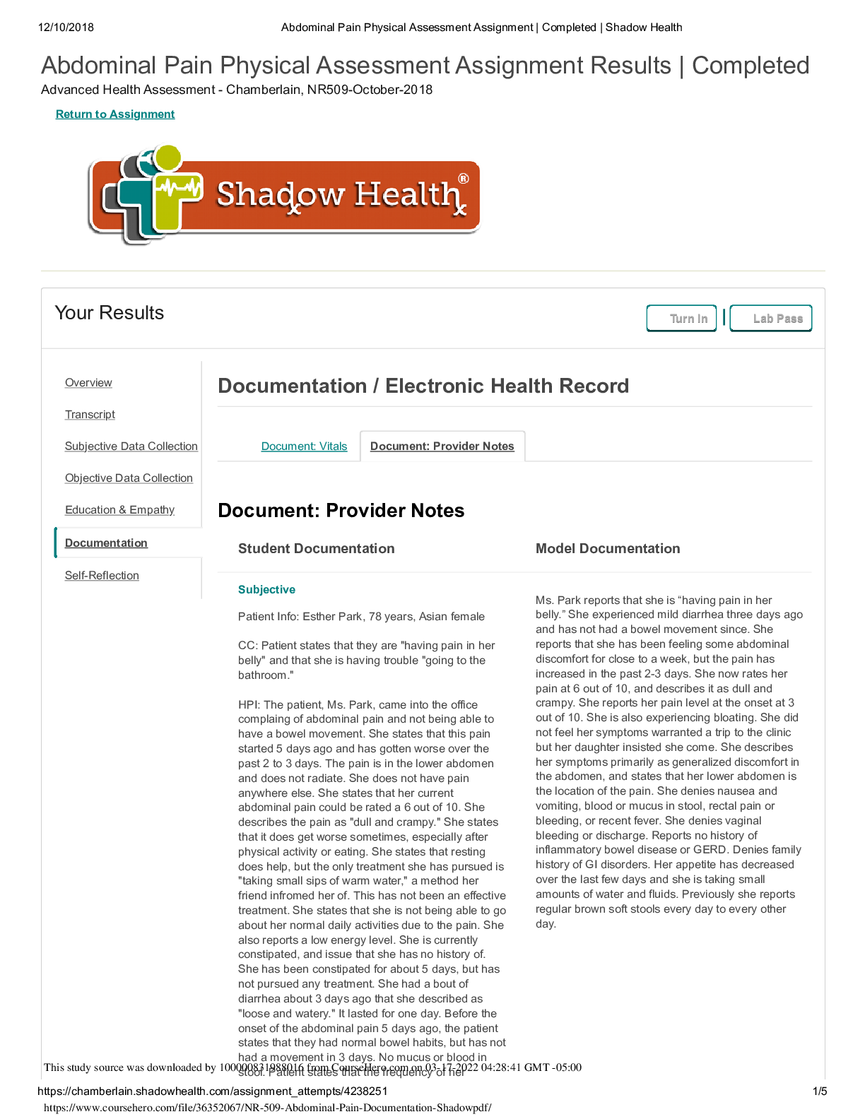 Preview image for NR 509_Abdominal_Pain_Documentation_Shadow