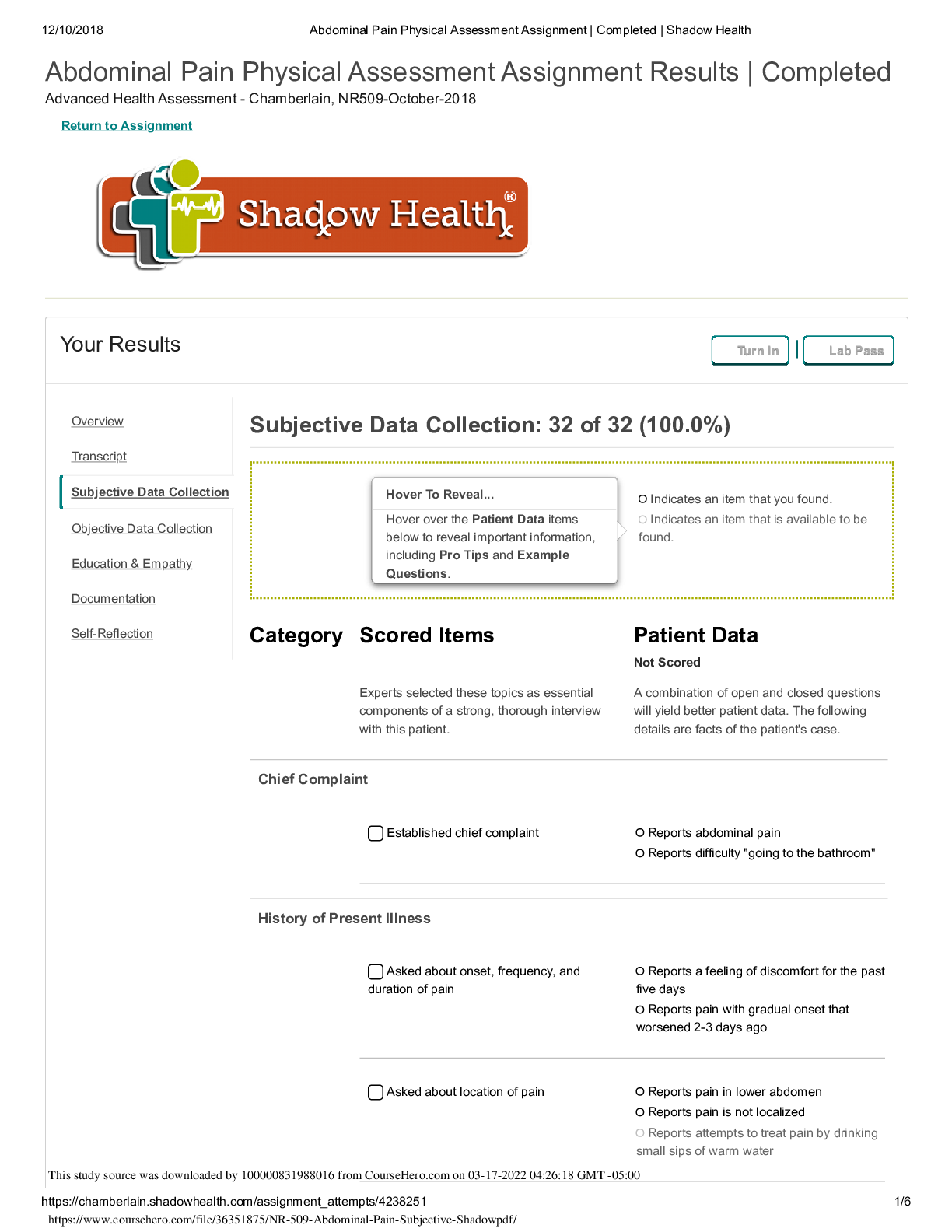Preview of NR 509 / NR509 Abdominal Pain Subjective Shadow Health (LATEST 2021)