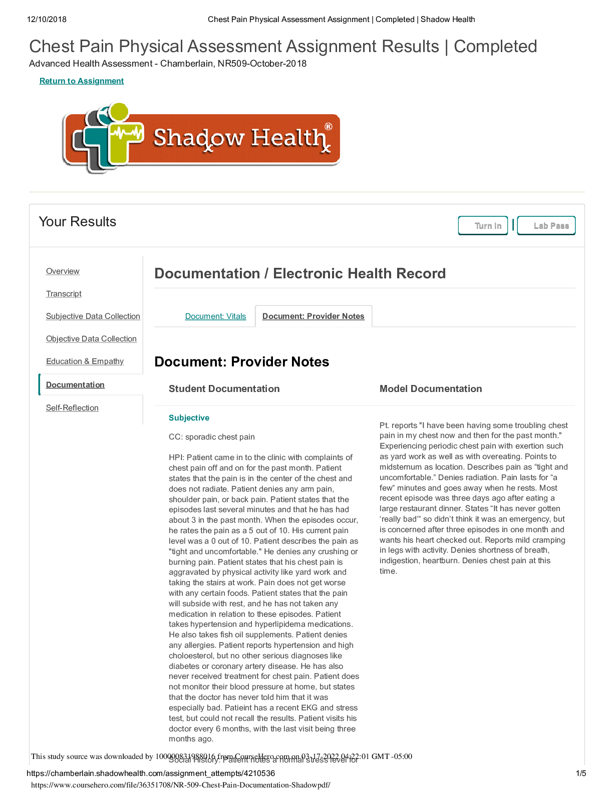 Preview of Chamberlain College of Nursing NR 509 Chest Pain Documentation Shadow
